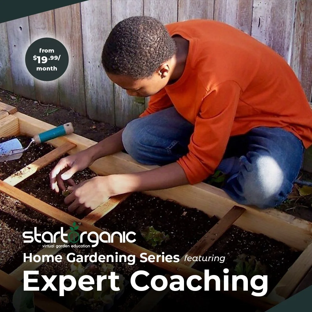 Want to take your gardening skills to the next level? 

Check out the Start Organic Home Gardening Series and get expert advice for growing the BEST food at home, all year long!

https://learn.startorganic.org/p/home-gardening-series2

#gardener #gar