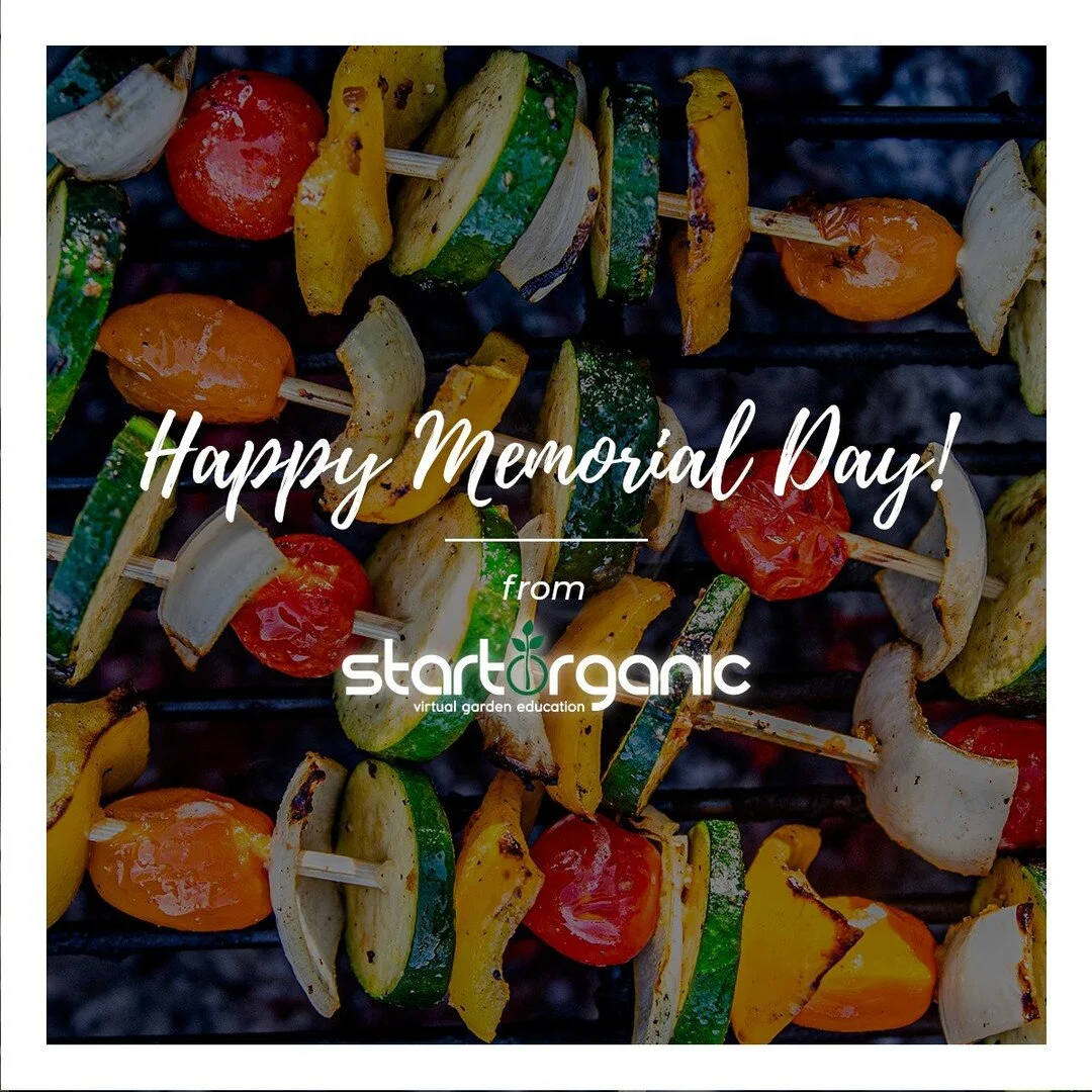 🇱🇷Happy Memorial Day! 🇱🇷 
What are you grilling this year?

www.startorganic.org

#memorialday #gardener #gardening #garden #gardenlife #plants #nature #gardens #gardendesign #gardenersofinstagram #growyourown #mygarden #gardeninspiration #garden