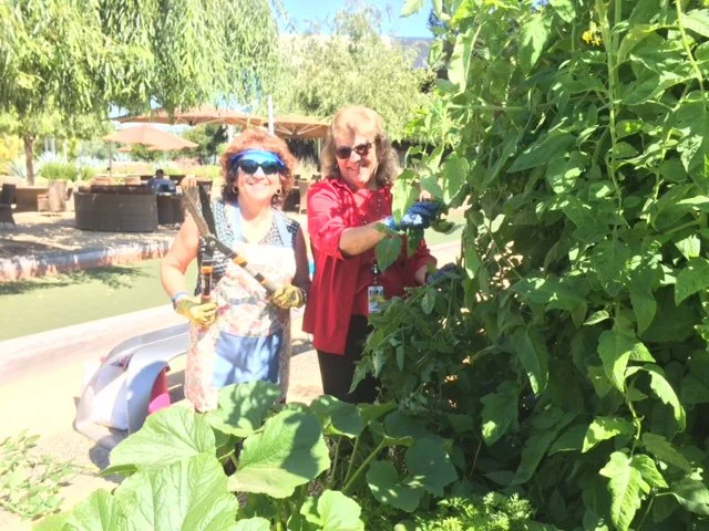 Copy of intuit July 2018-1.jpeg