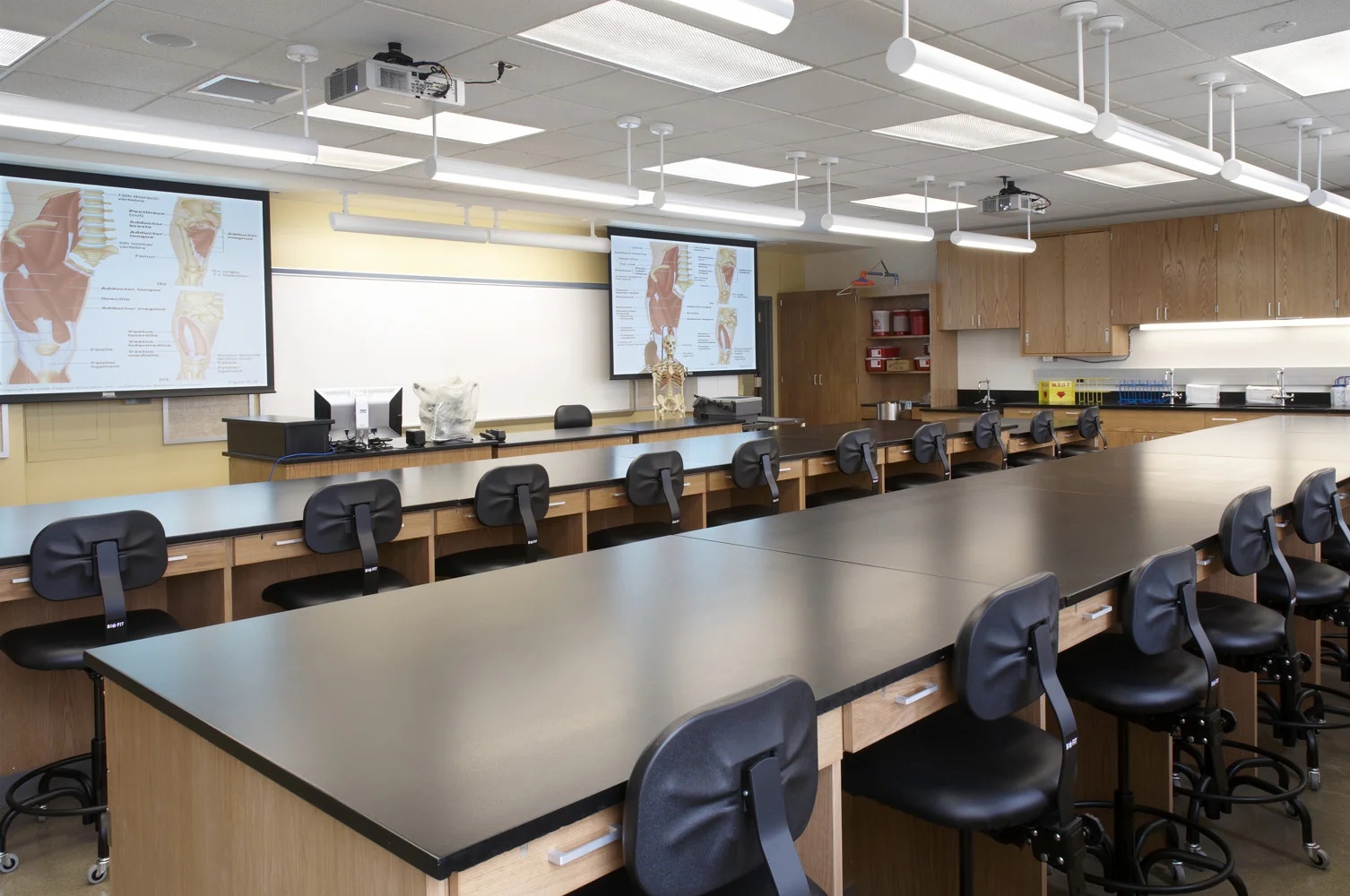 Buchart Horn Architects (BHA) provided mechanical, electrical, and plumbing services for programming/feasibility, schematic design, design and bidding, and contract administration and project closeout phases for renovations to a 4,000-SF science laboratory in the Bachmann Building at Neumann College (NC). During the program and feasibility phase, BHA surveyed the existing conditions, interviewed NC staff to determine the availability and condition of existing MEP service and systems, calculated demand on the existing MEP system, generated written report findings and recommendations on a room-by-room and systemic basis with a cost estimate, and actively participated in two programming/planning review meetings with NC. During the schematic design phase, we developed calculations and selections for system demand and MEP components based on NC's own and our architectural program, generated a written schematic report on MEP systems with a cost estimate, provided recommendations for MEP systems, and actively participated in a schematic review meeting with NC.