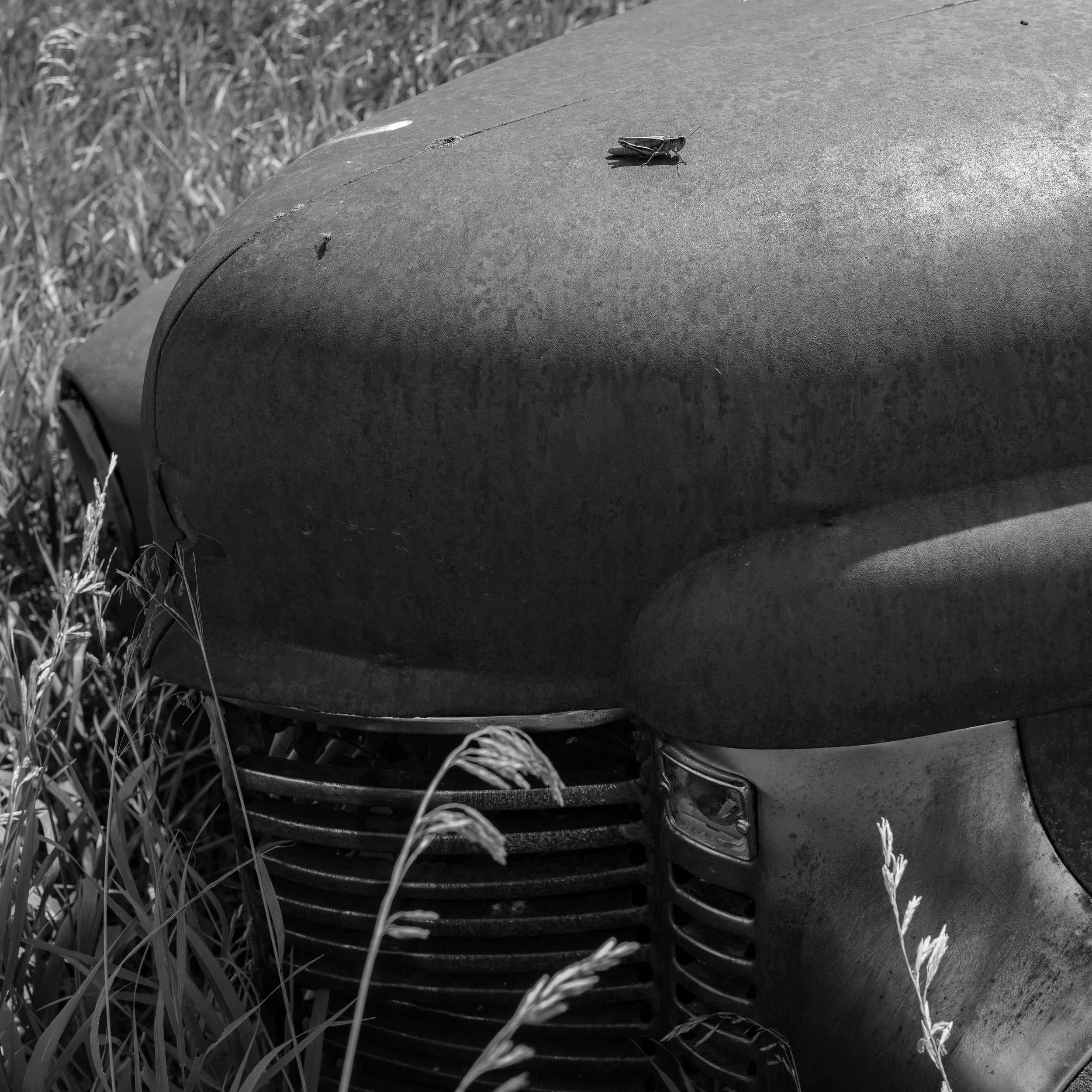 ND MM Workshop-55.jpg