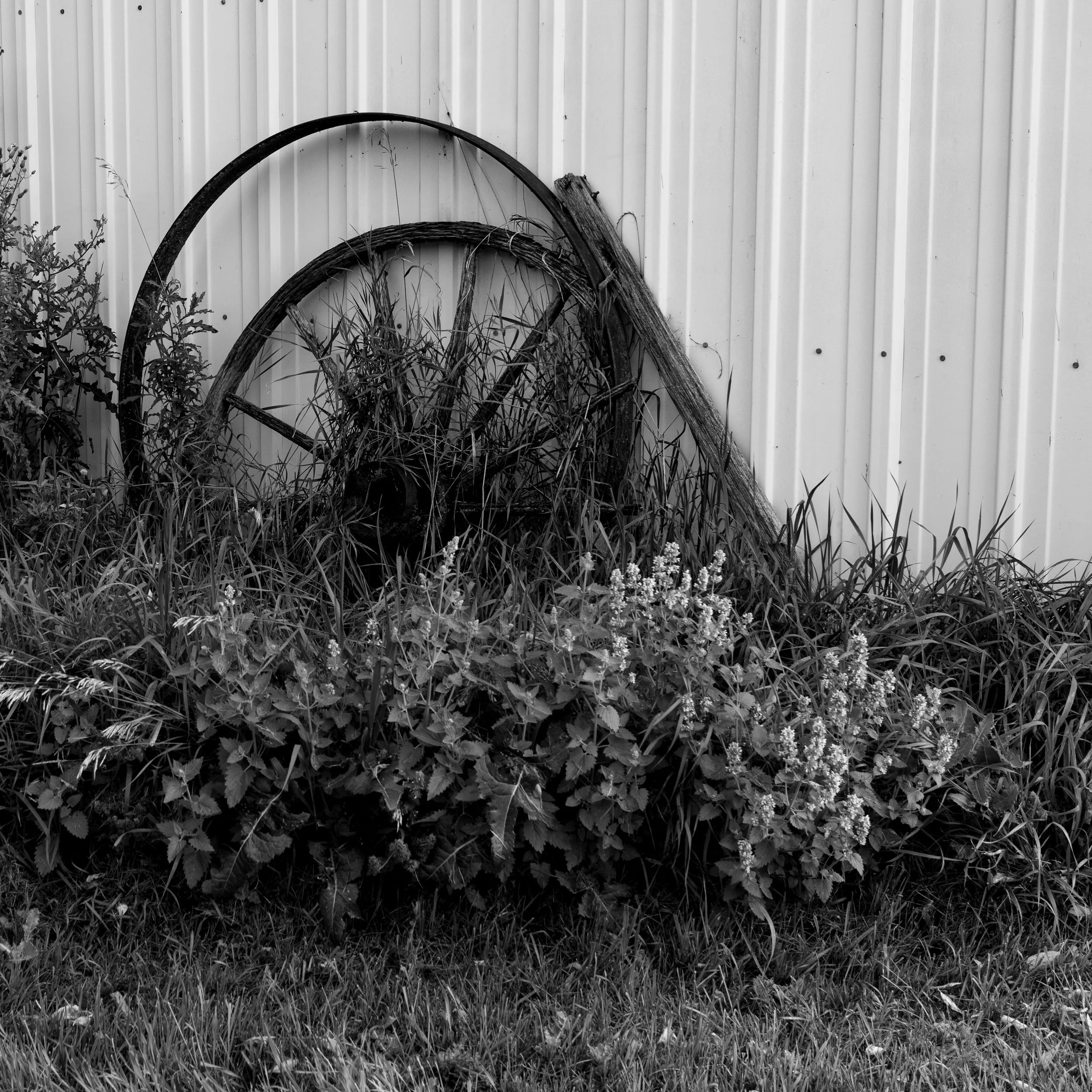 ND MM Workshop-49.jpg