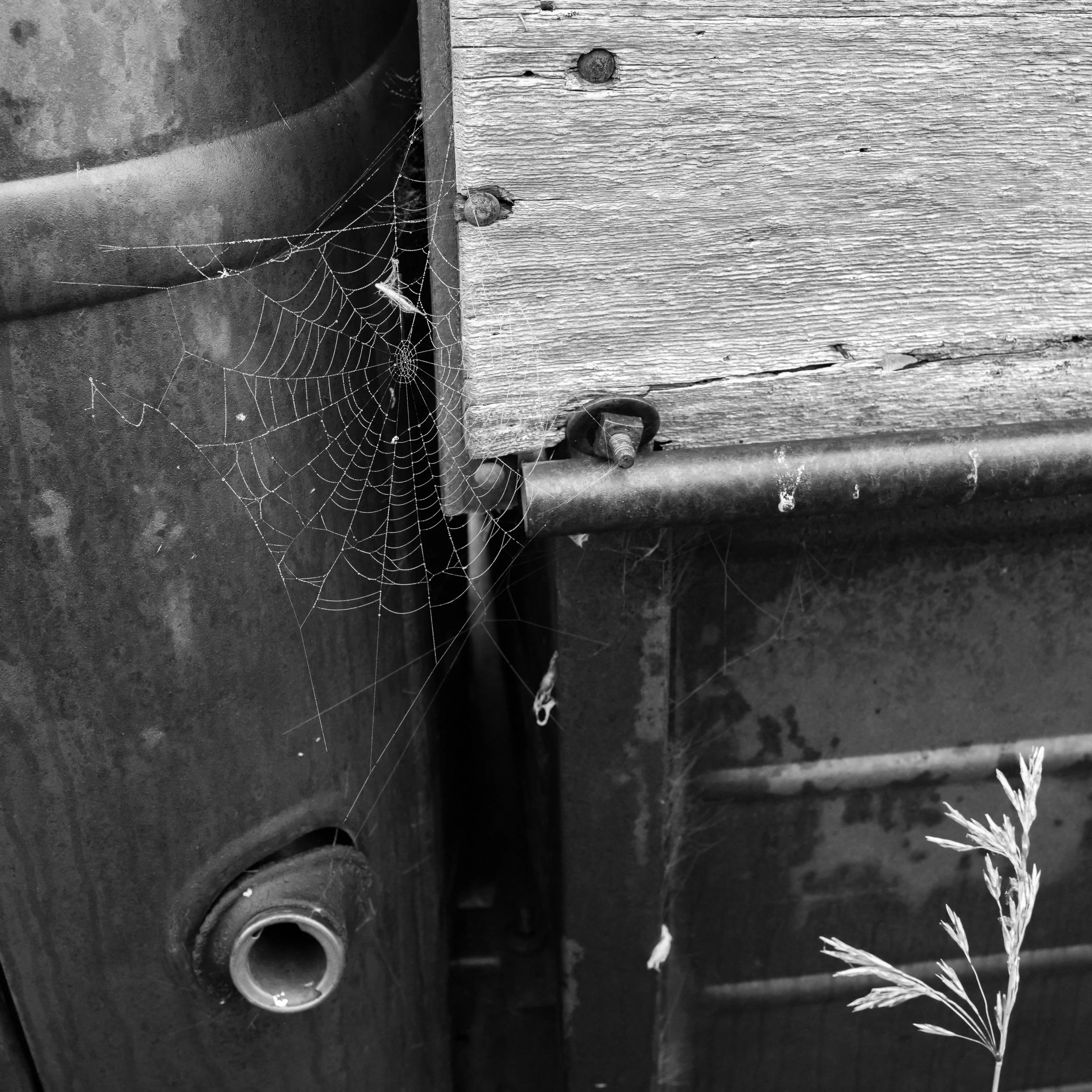 ND MM Workshop-36.jpg