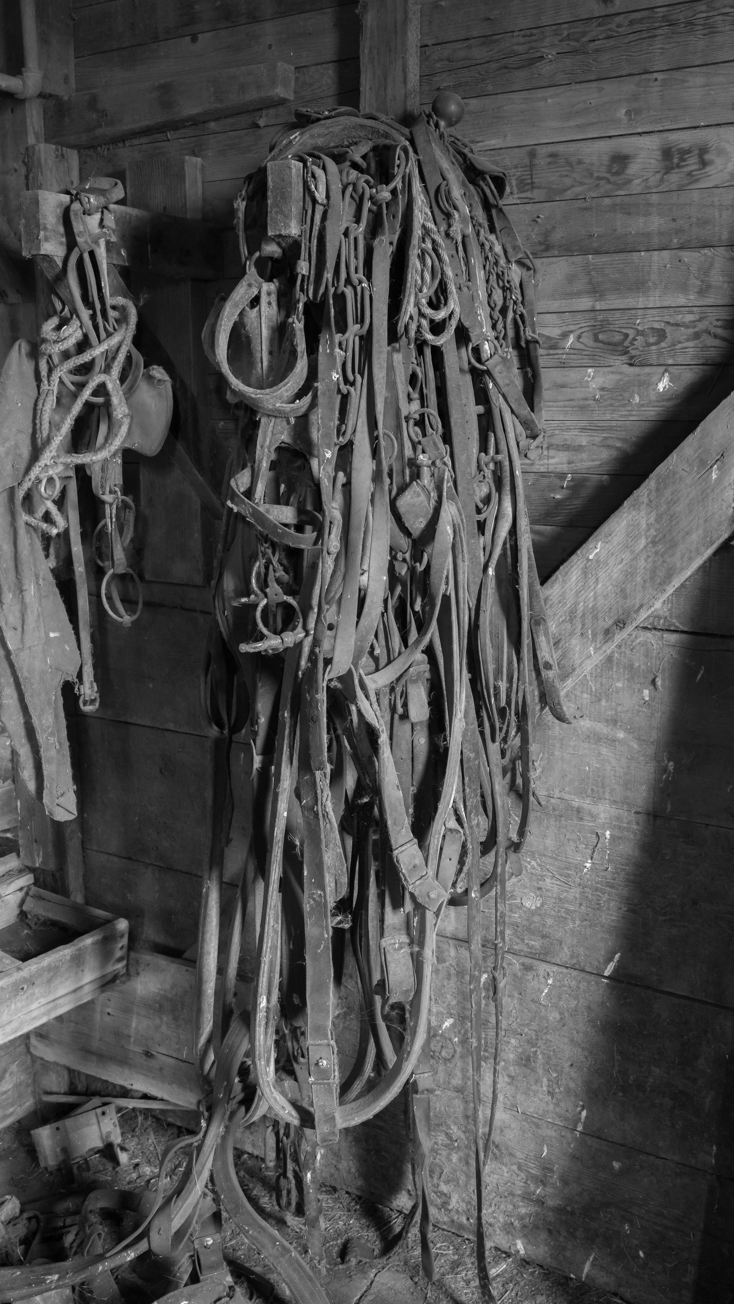 ND MM Workshop-26.jpg