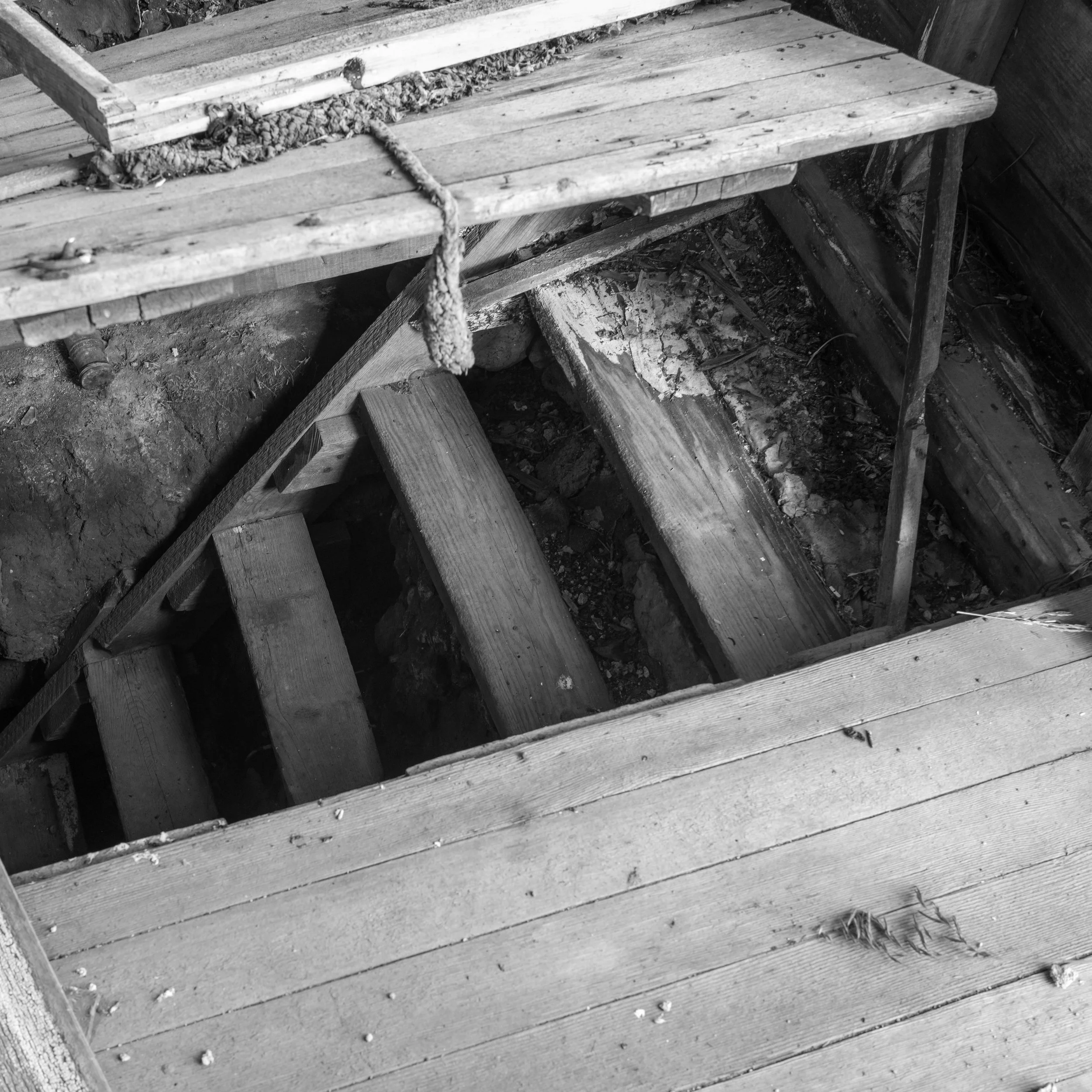 ND MM Workshop-19.jpg