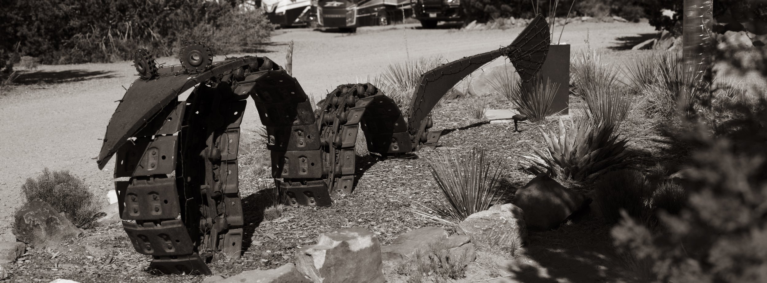 Lawn Art-1.jpg