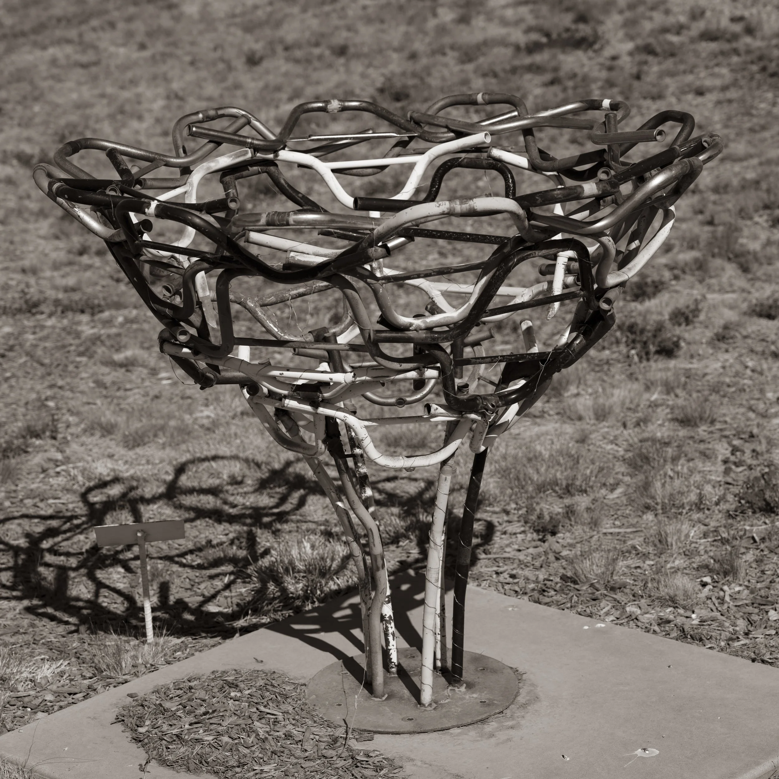 Lawn Art-5.jpg