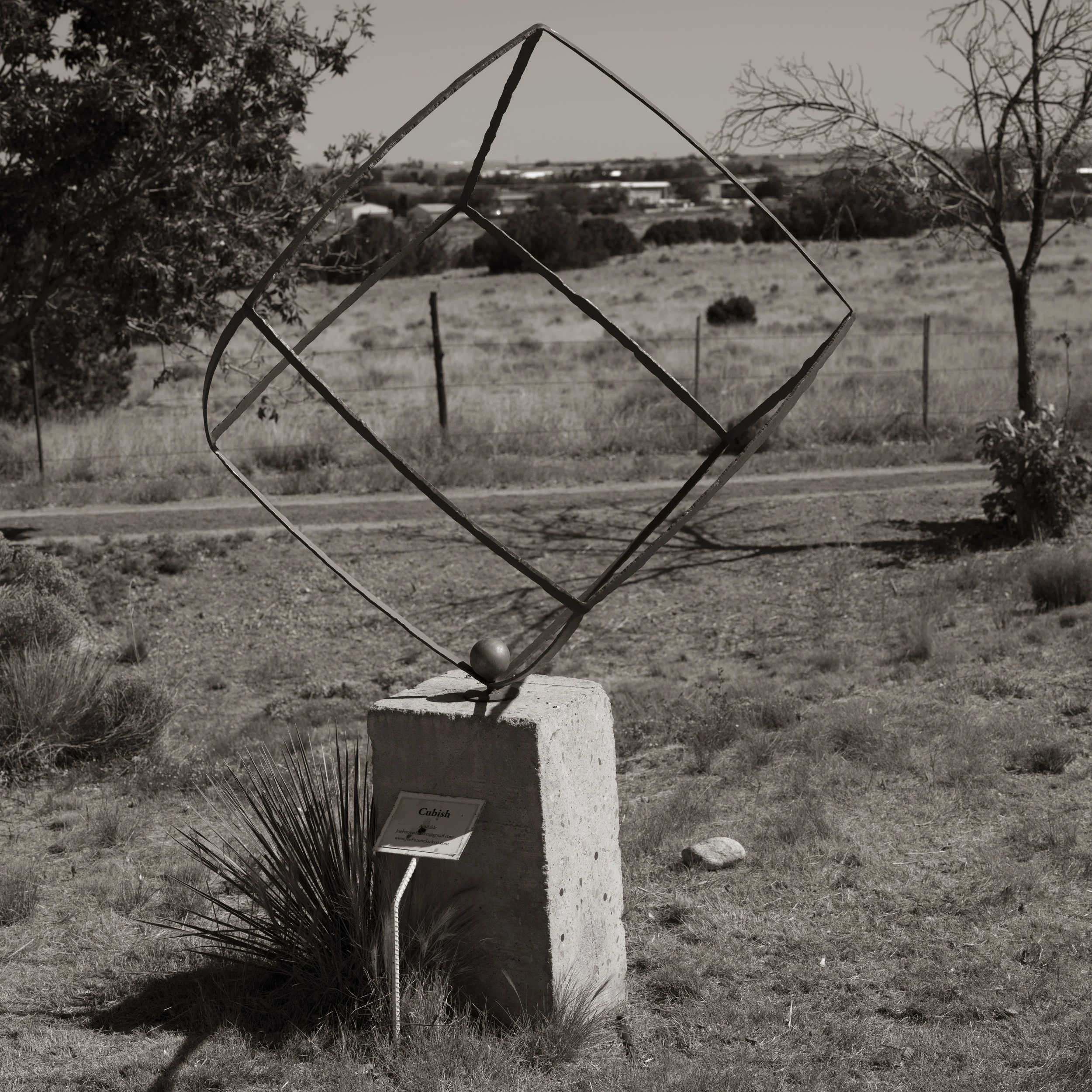 Lawn Art-8.jpg