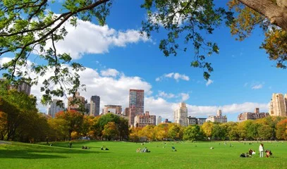picnic in central park.jpg