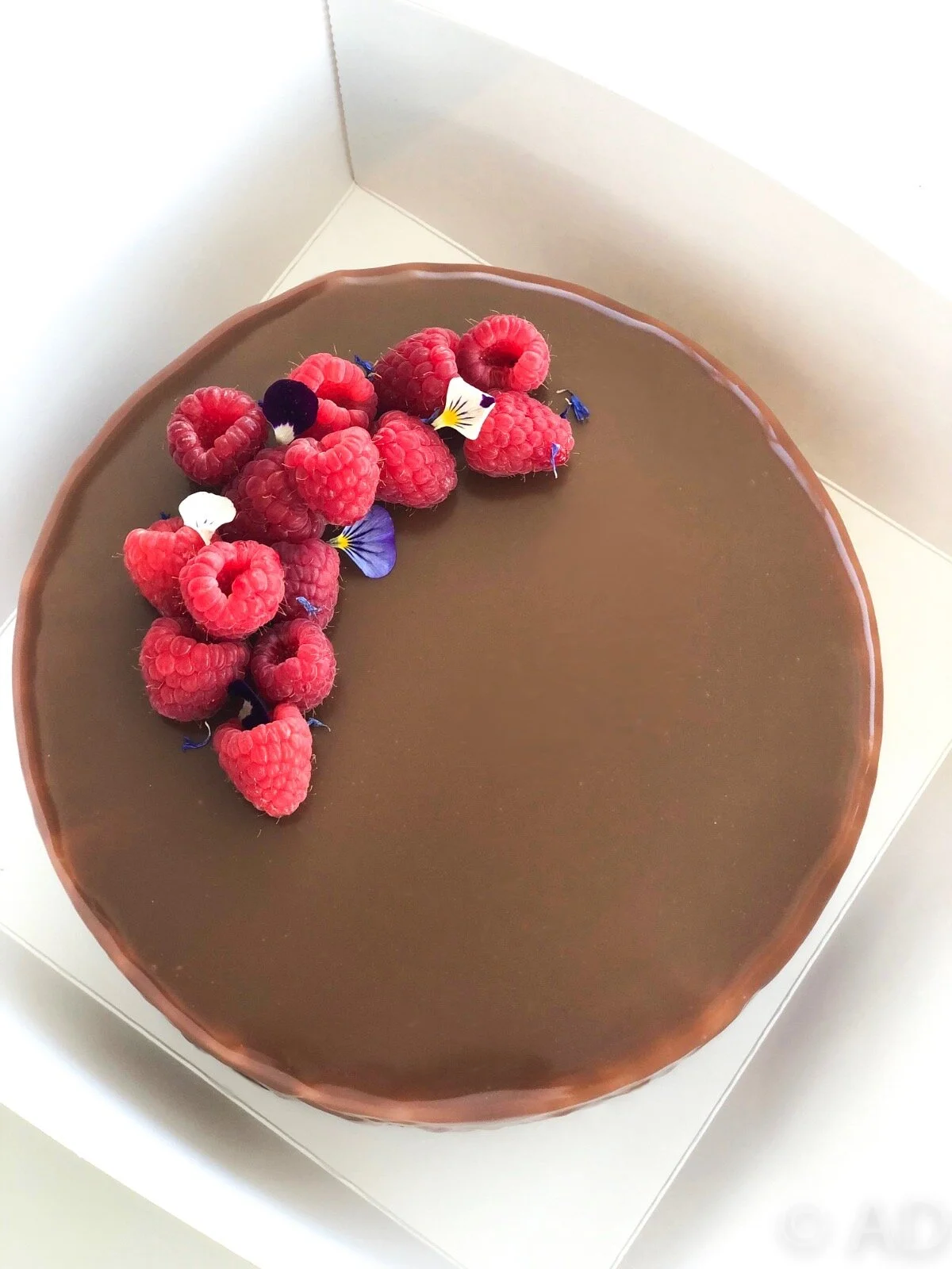 raspberry chocolate cake.JPG