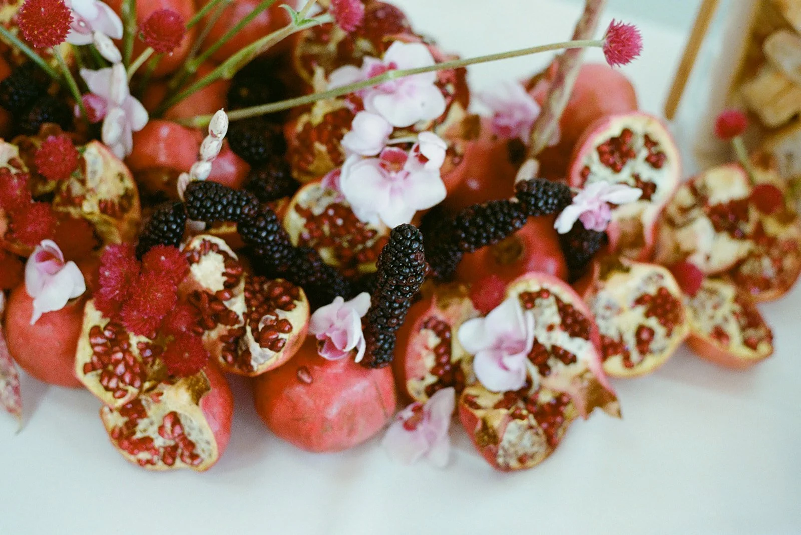 Sage & Loren-16_websize.jpg