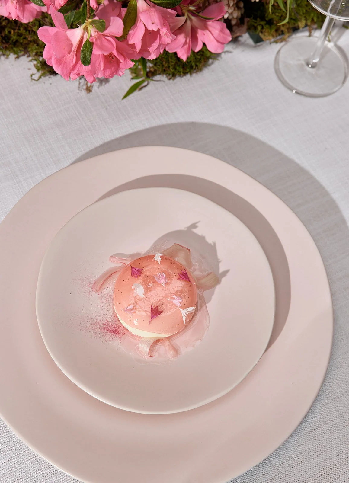 Blooming CALENROSE_367.jpg