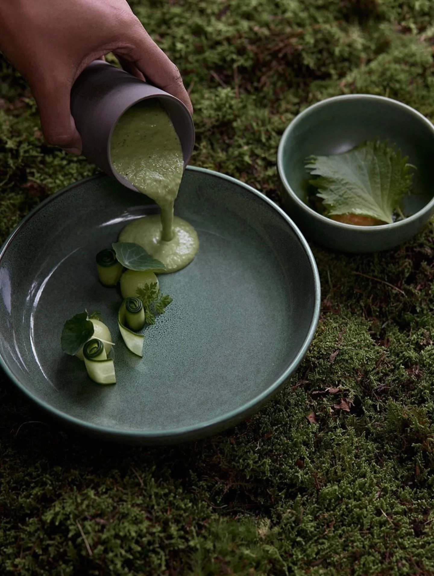 Before the bloom

Photographer: @calenrose
Planner: @emmaruthcreative