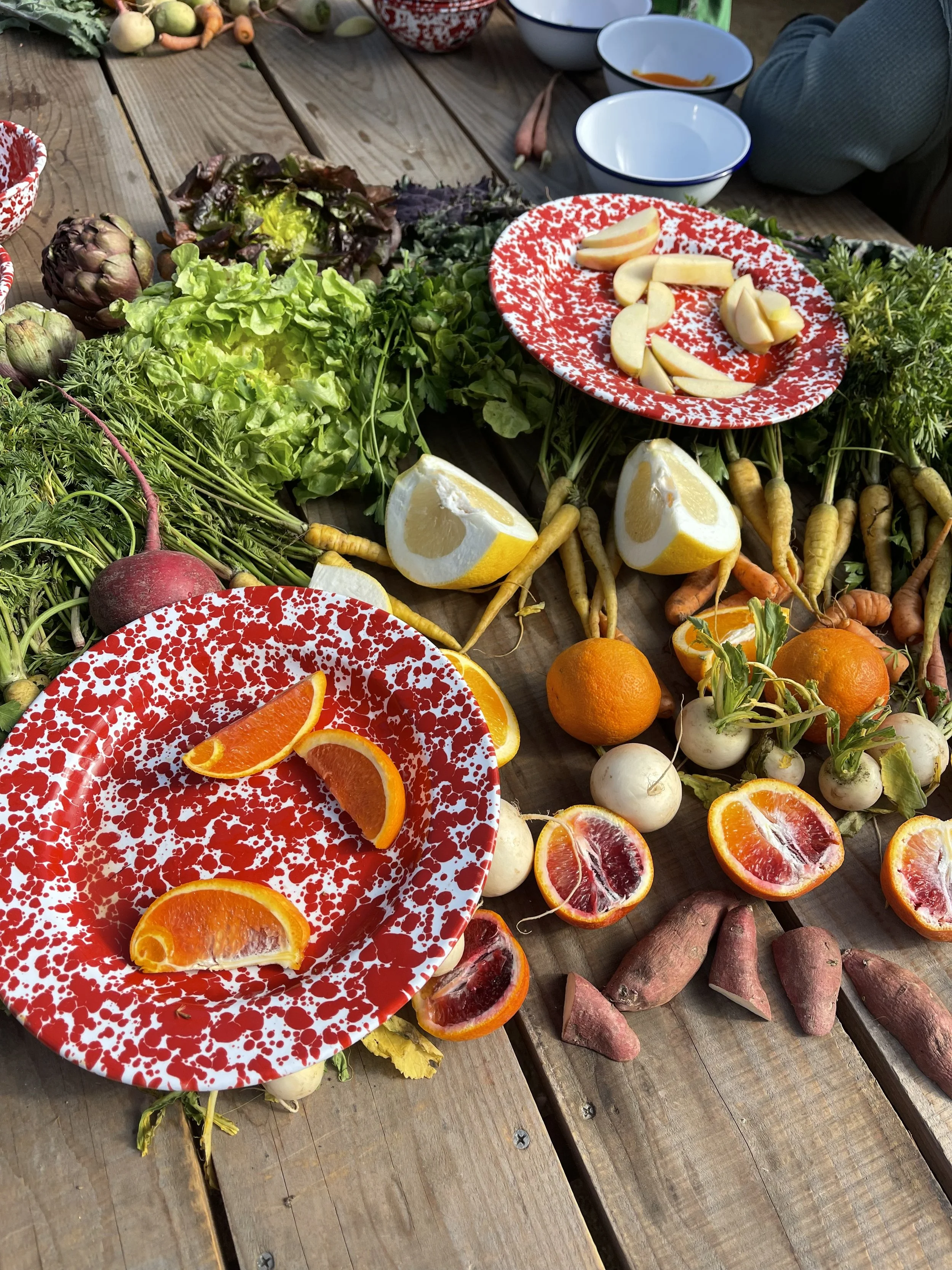 LEADERSHIP LESSONS 1 SAMUEL 4 