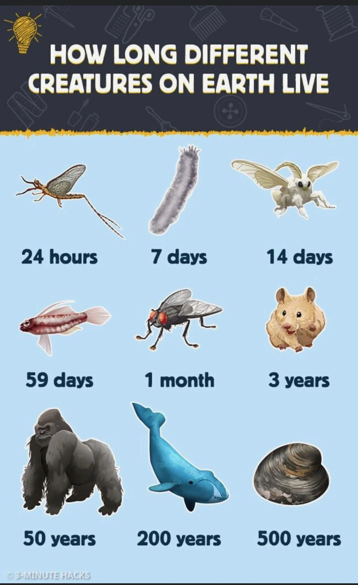 LESSONS IN LEADERSHIP 1 SAMUEL 6 