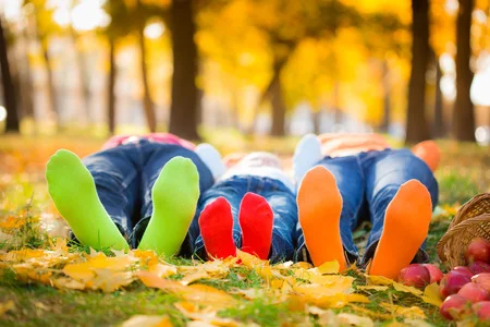 44340714_S_Socks_Feet_Autum_Fall_trees.jpg
