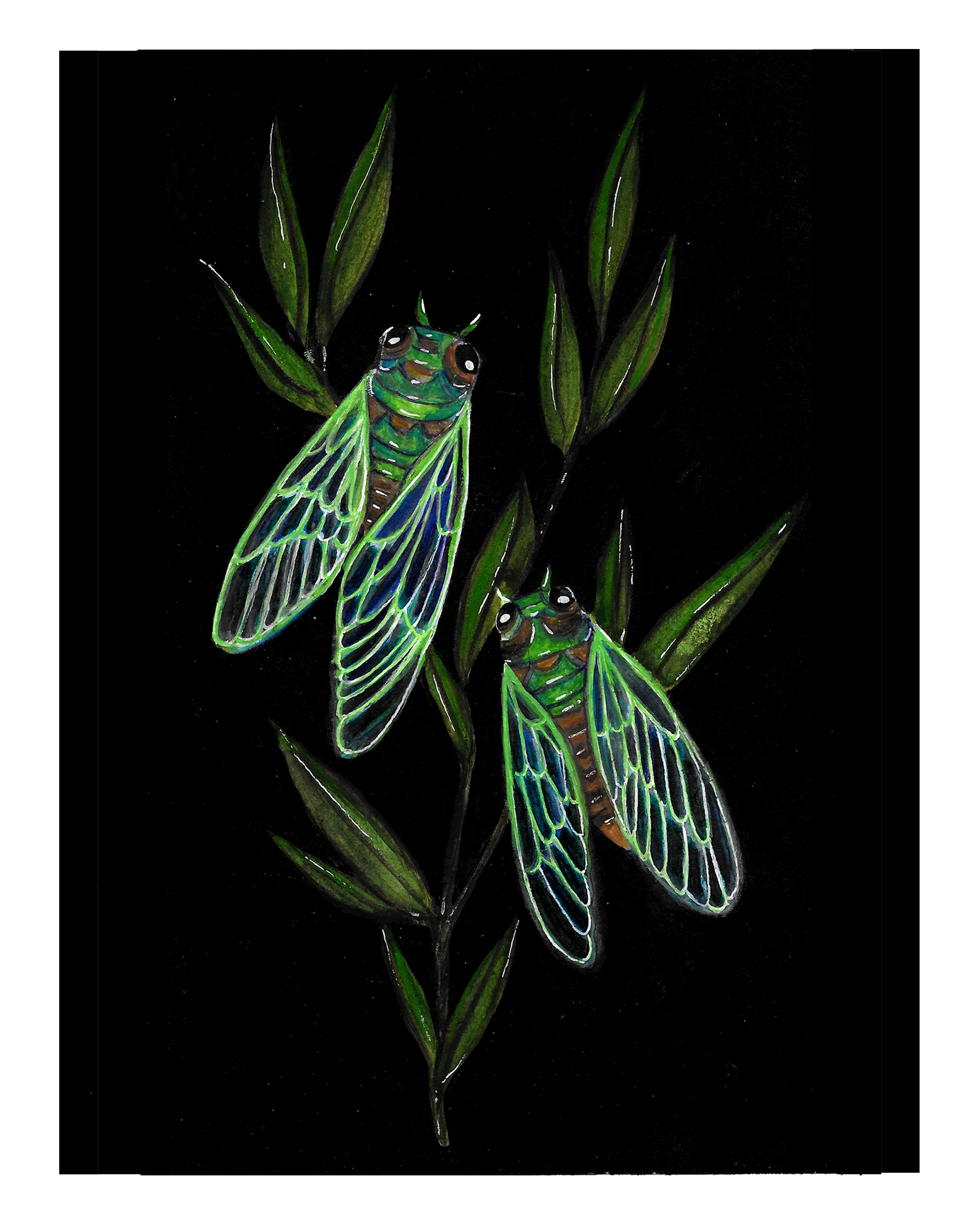 cicadas 8x10.png