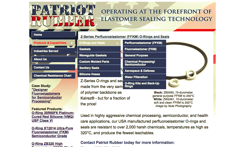 Old site (homegrown): no ecommerce capabilities; content heavy; outdated.