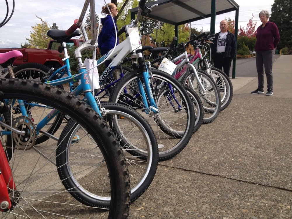 Our mini fleet awaiting the adopters
