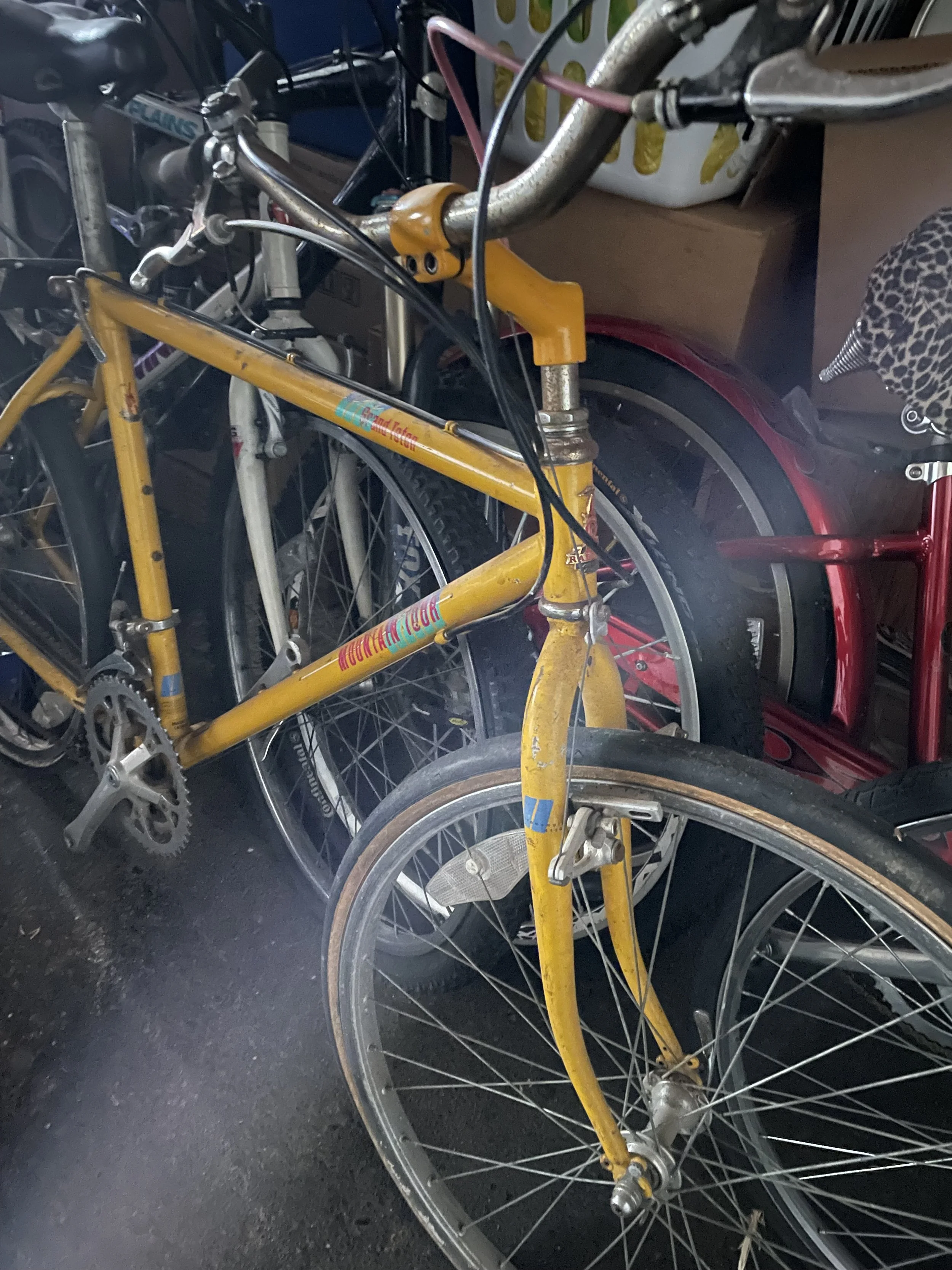 Raleigh Mountain Tour Grand Teton — Bikes for Humanity PDX