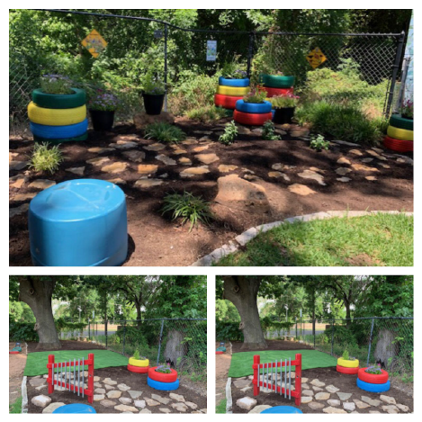 Eagle Scout Project Brings Back the Monarchs to TKI Playground