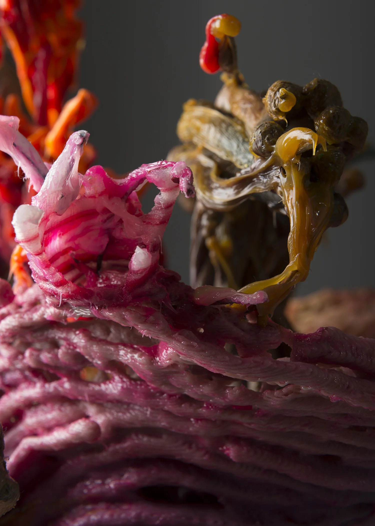 Loop Plastema, 2016, (detail) 40 x 30 x 30 cm | 15 3/4 x 11 3/4 x 11 3/4 in 3D printed plastic, alkyd paint, silicone