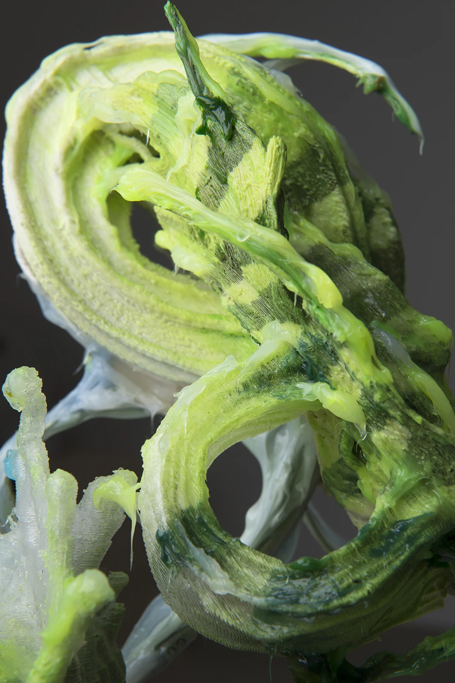 Contra-flow Plastema, 2016, (detail) 40 x 30 x 30 cm | 15 3/4 x 11 3/4 x 11 3/4 in 3D printed plastic, alkyd paint, silicone