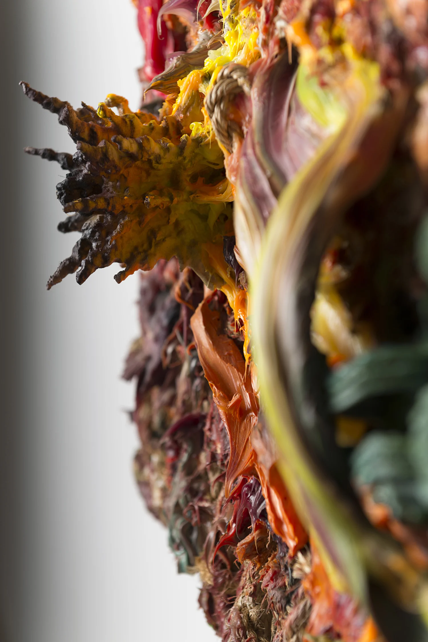 Precariat Forms, 2016/2017, (detail) h. 42” x w. 38” x d. 7” Hand woven manilla rope, climbing rope, alkyd paint, silicone, wood, 3D printed plastic
