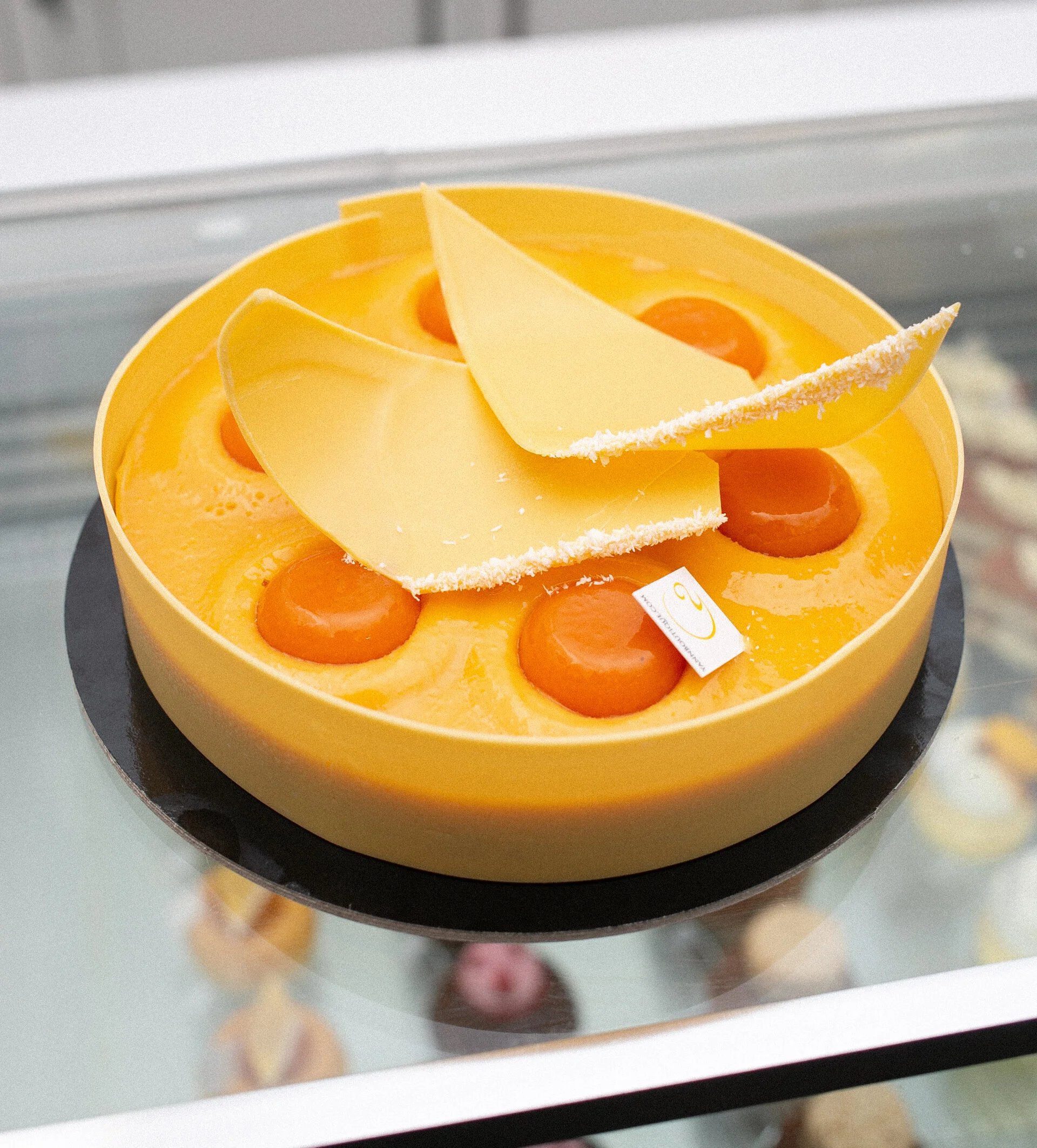 untitled (14 of 183).JPG