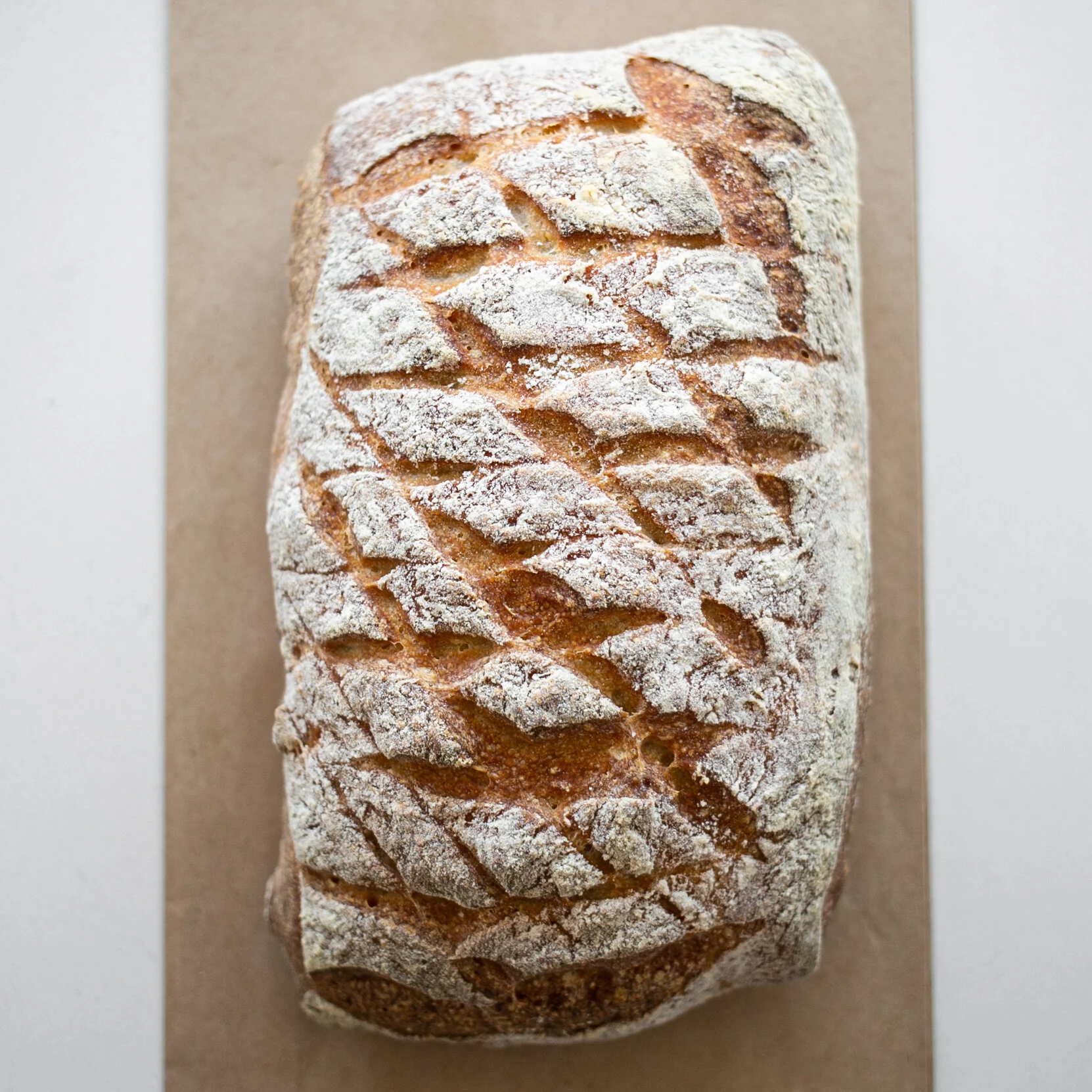 untitled (78 of 183).JPG