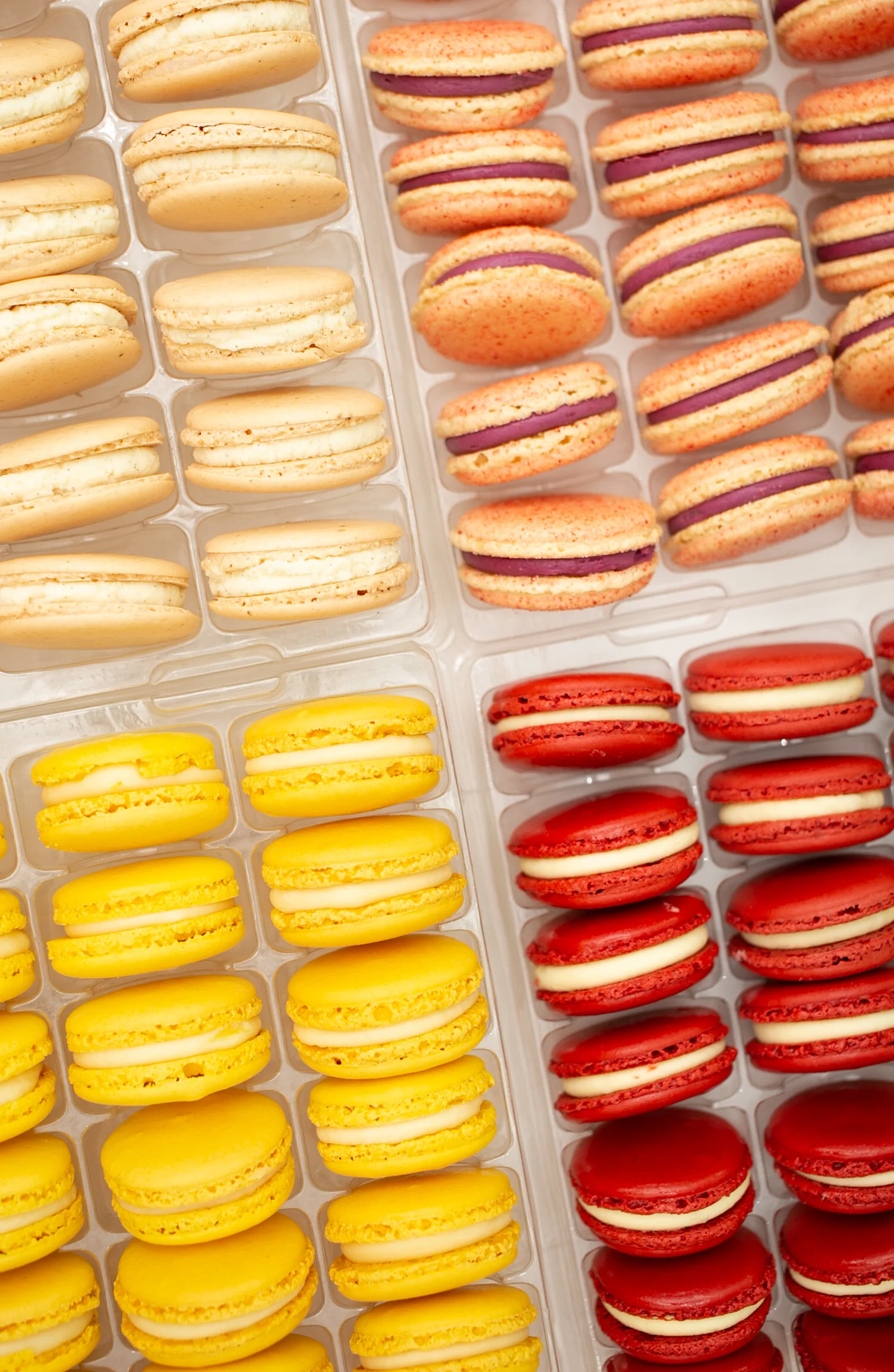 untitled (59 of 183).JPG