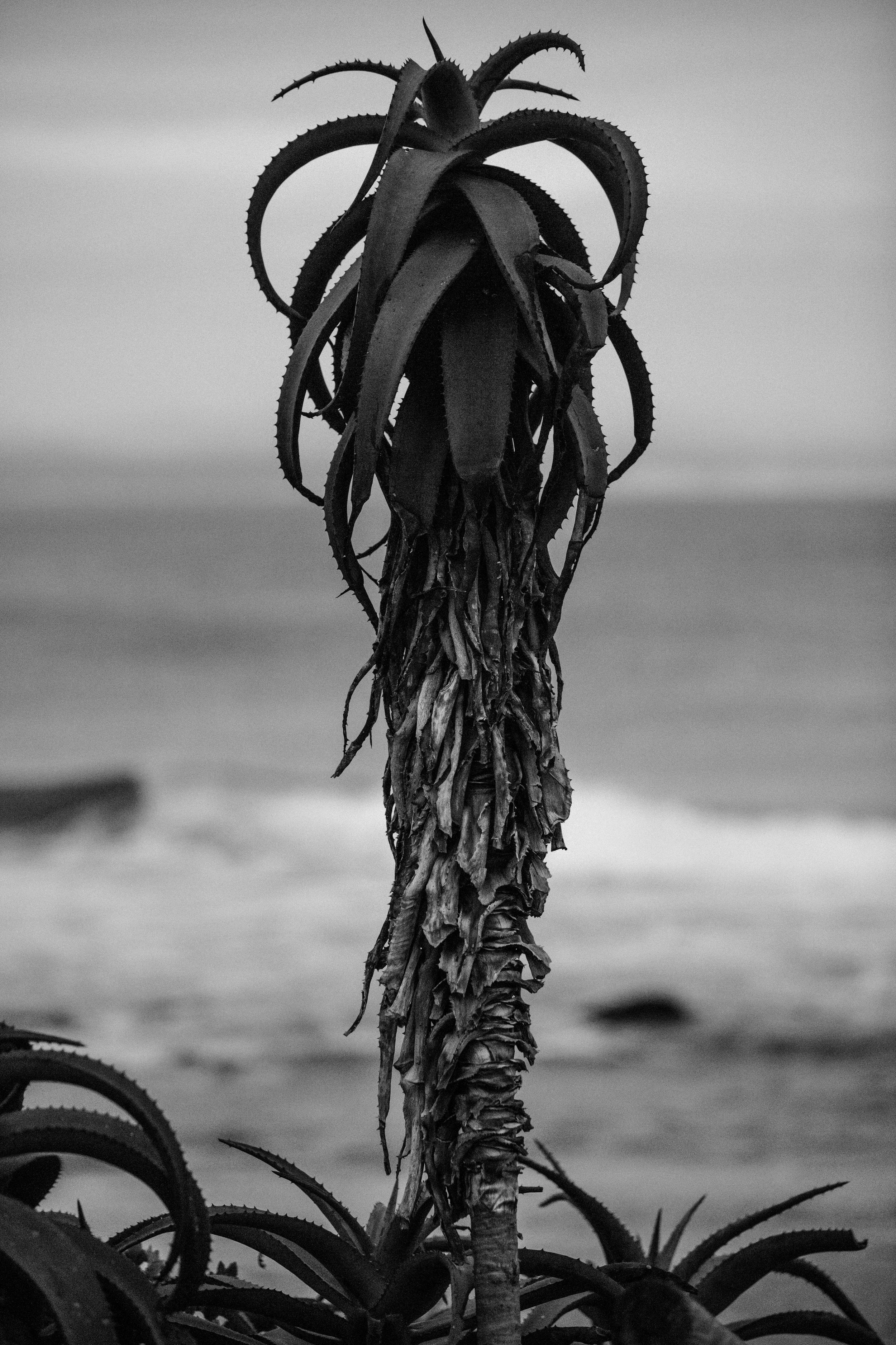 095A6834+.JPG