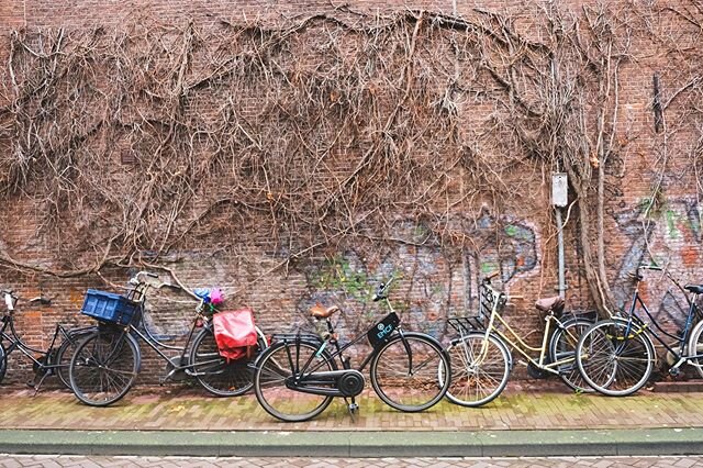 I didn&rsquo;t take this today, but I did finally edit it (and couldn&rsquo;t decide which version I liked better). So I&rsquo;m counting it. #coronaphotoproject #caitatwork