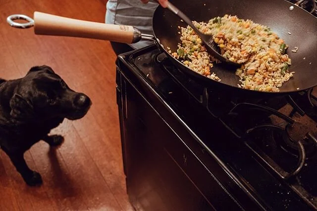 We apparently live with a food supervisor. #pleasedropsomefood #coronaphotoproject