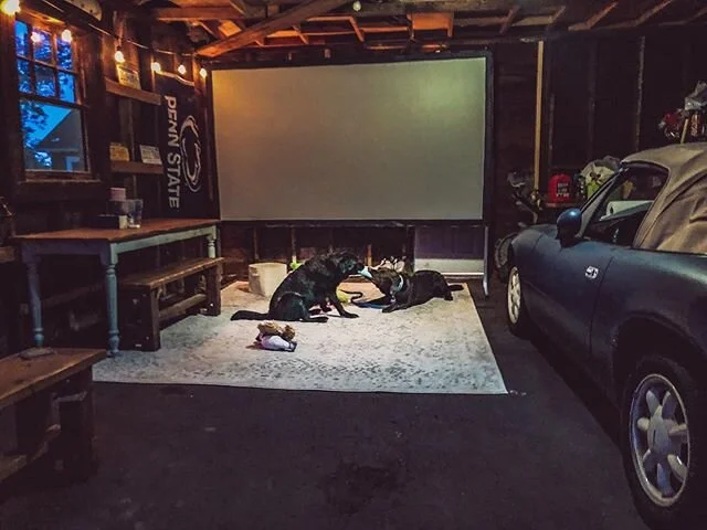 Step 1: Build a GarBar. Step 2: Only invite dogs over. #coronaphotoproject