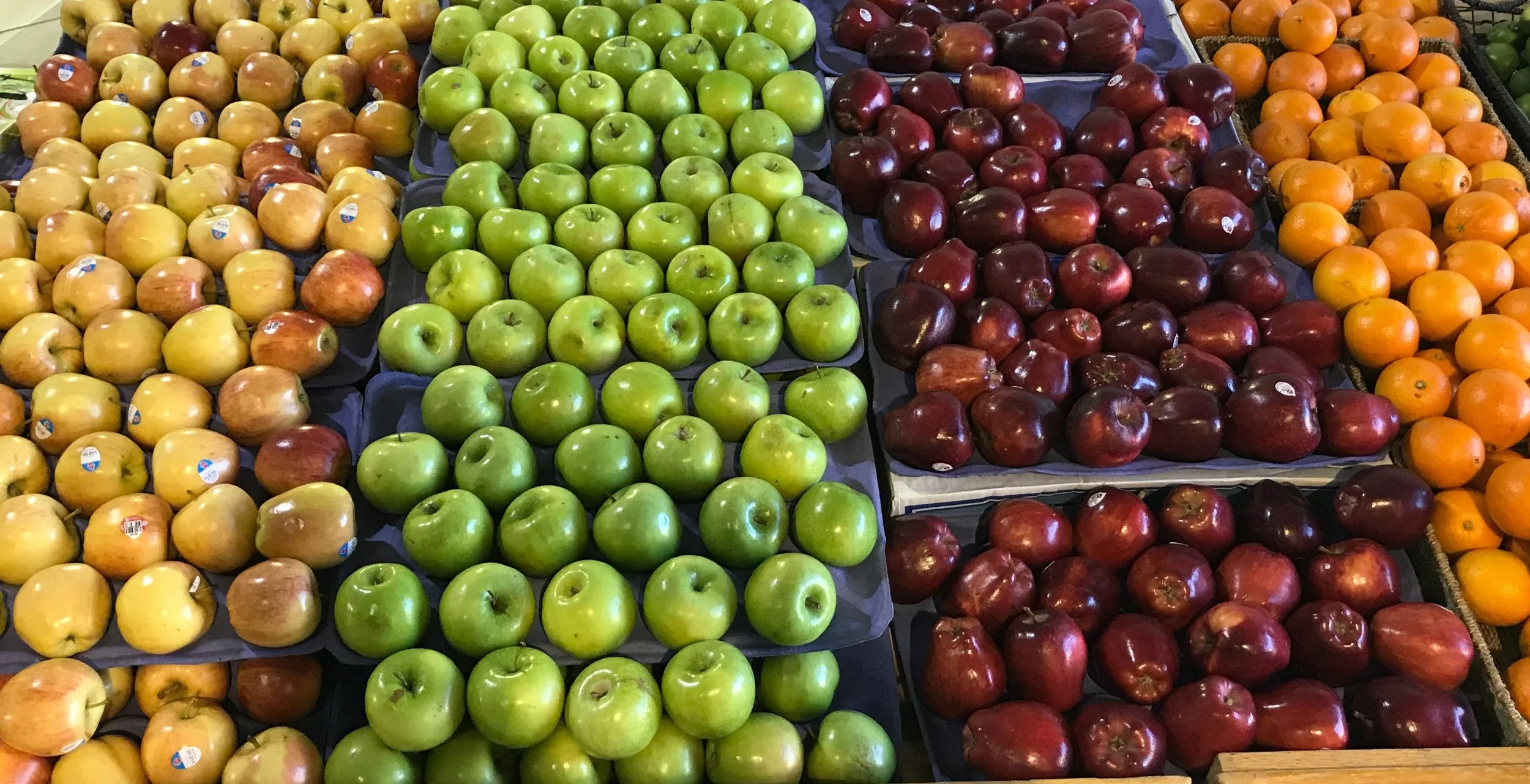 apples and oranges cropped.jpg