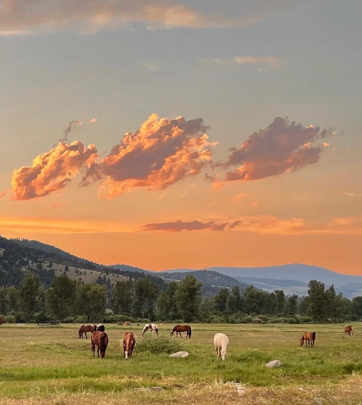 top 5 dude ranches — Biondi Travel
