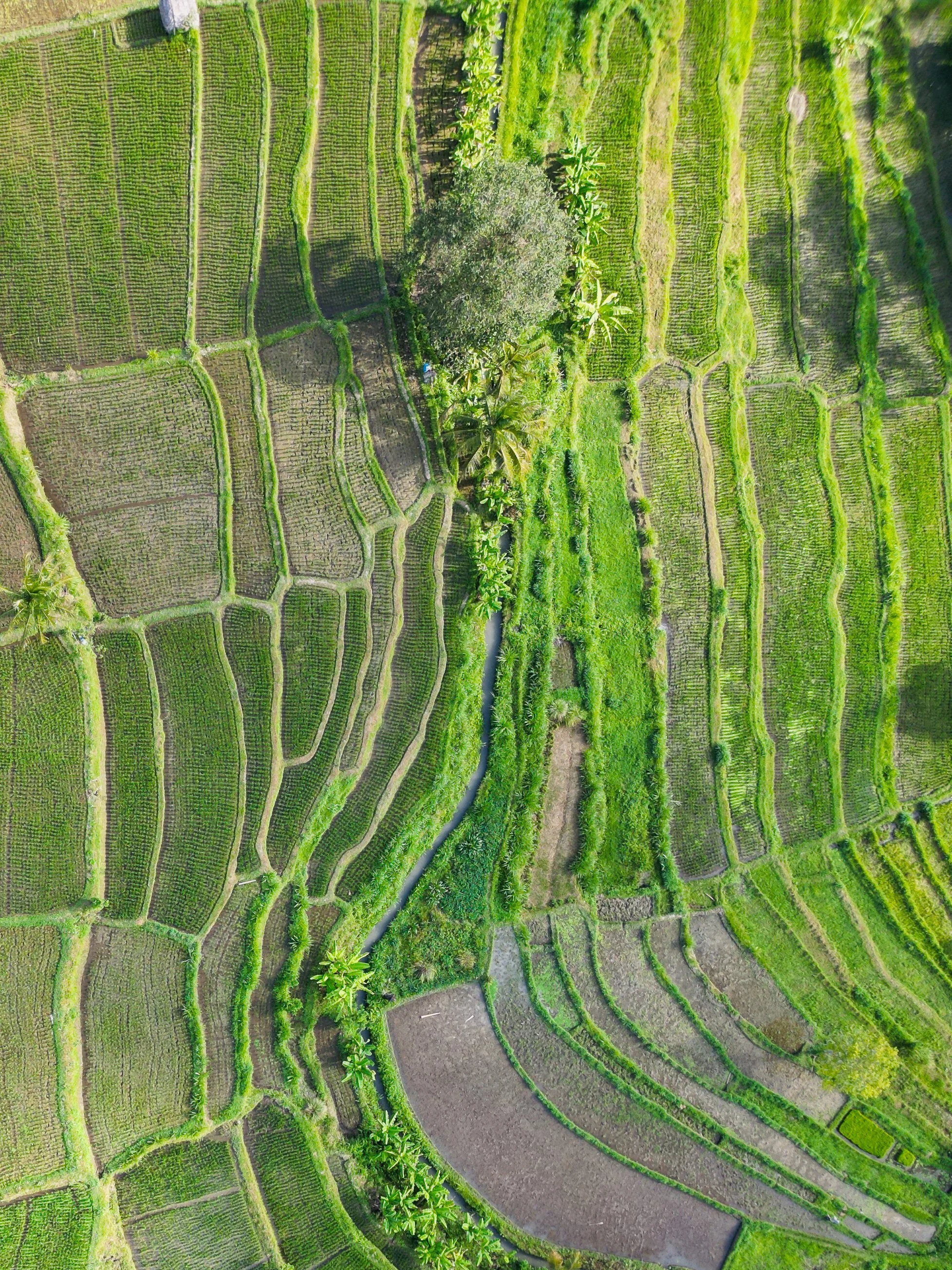 dji_fly_20230729_145910_773_1690868703817_photo.jpg