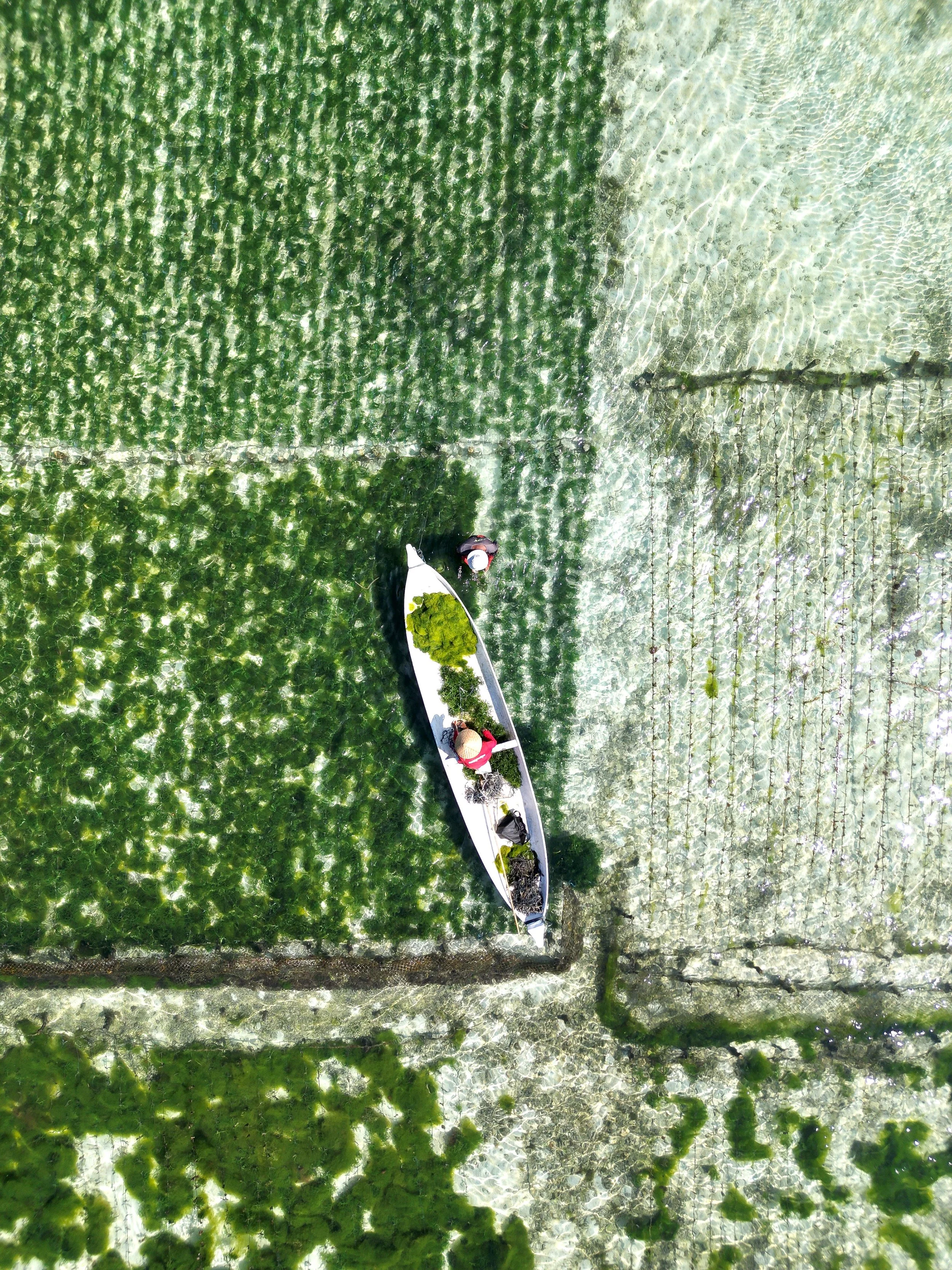 dji_fly_20230627_143356_202_1687870193466_photo.jpg