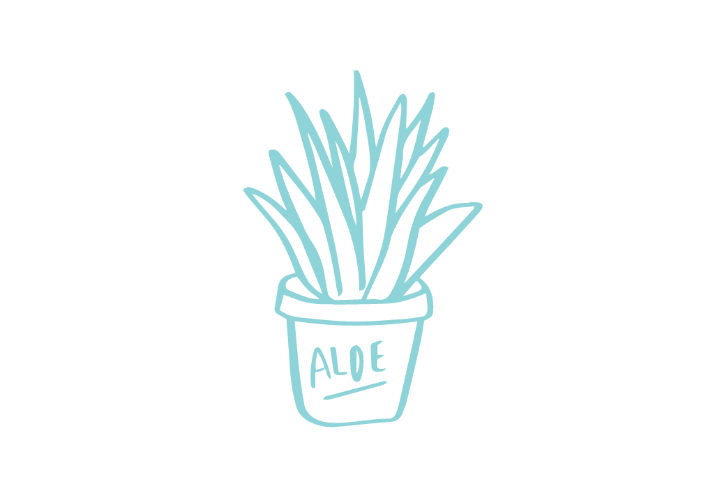 Aloe