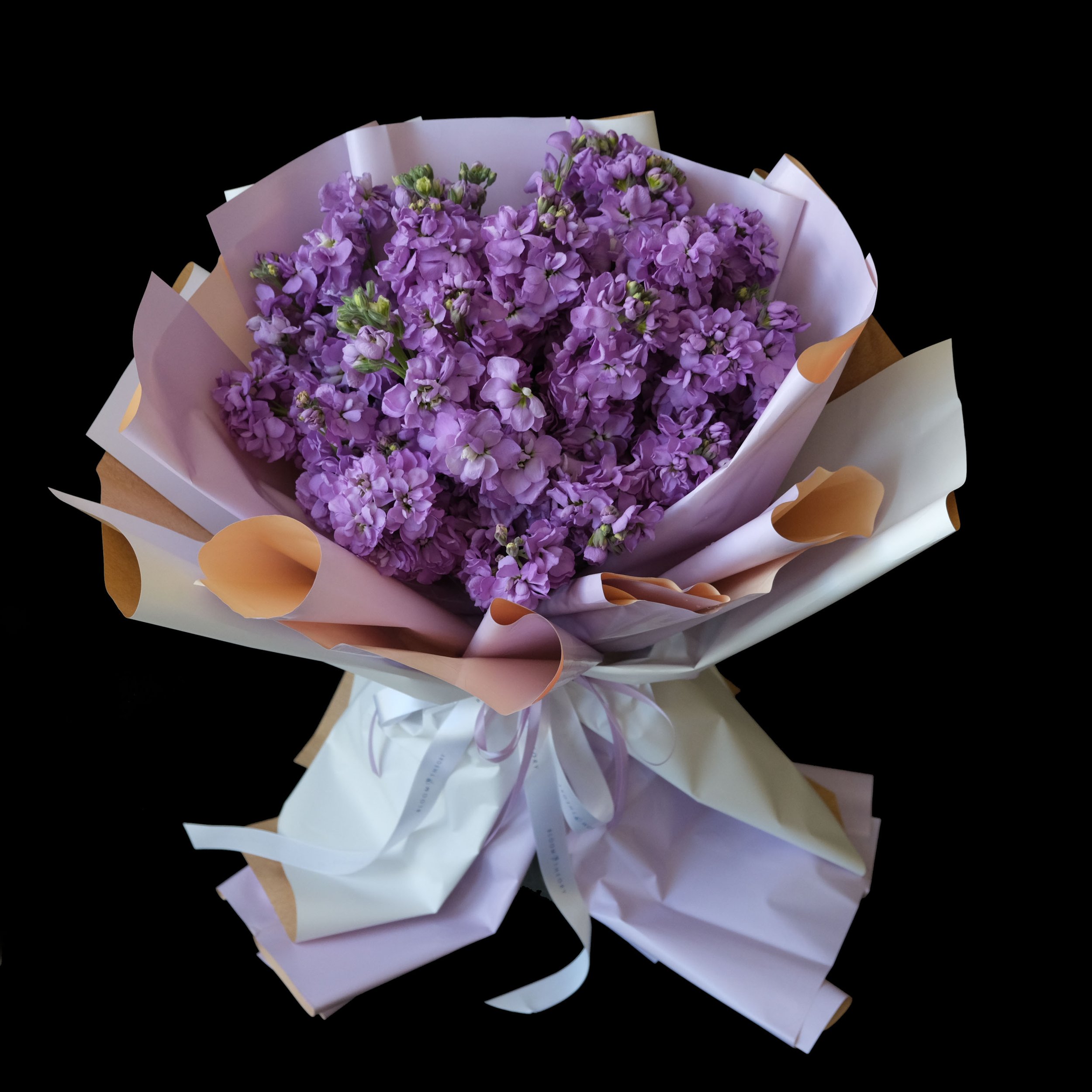 DSCF2076.JPG