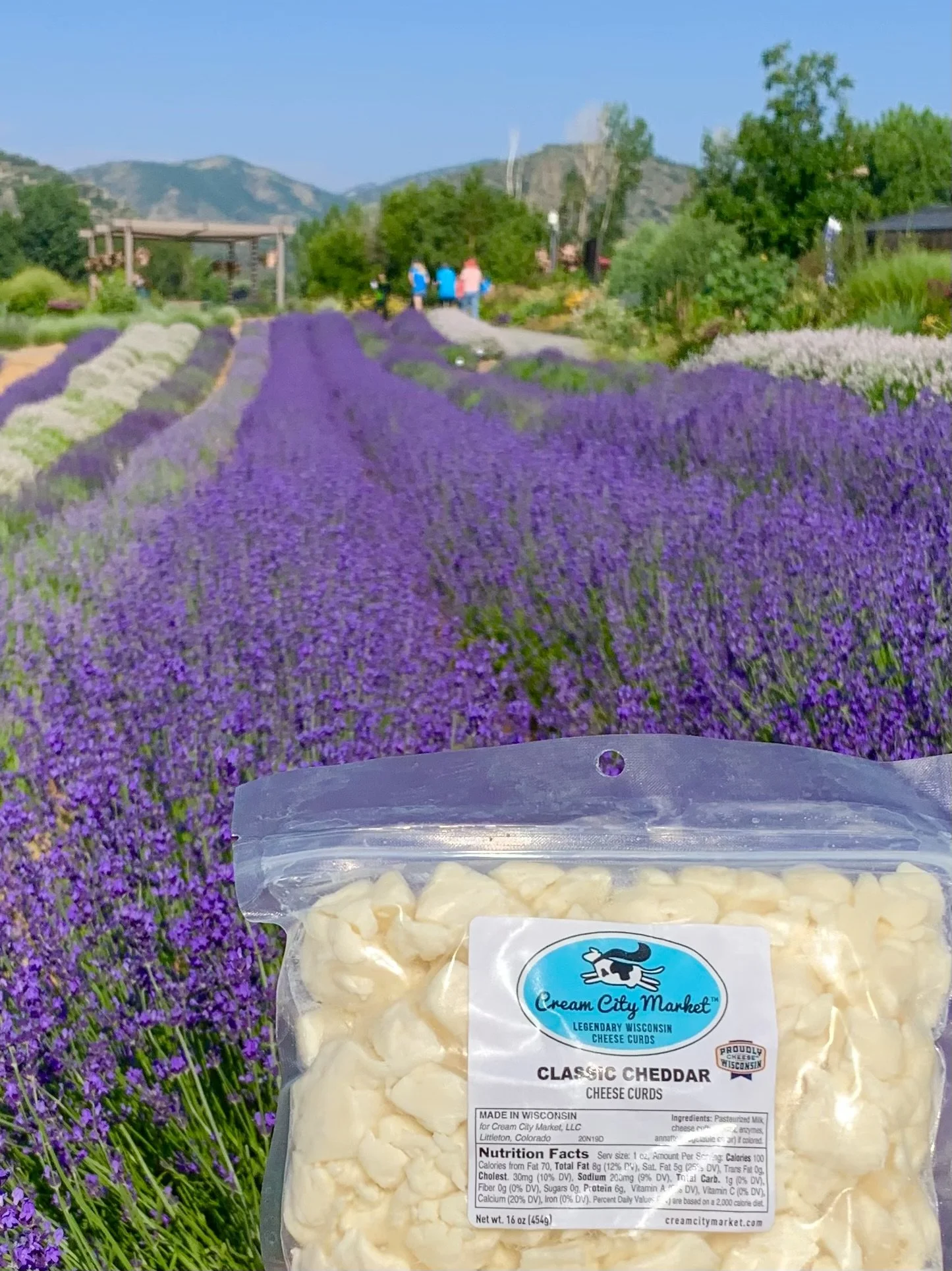 Lavender Festival Chatfield Farms