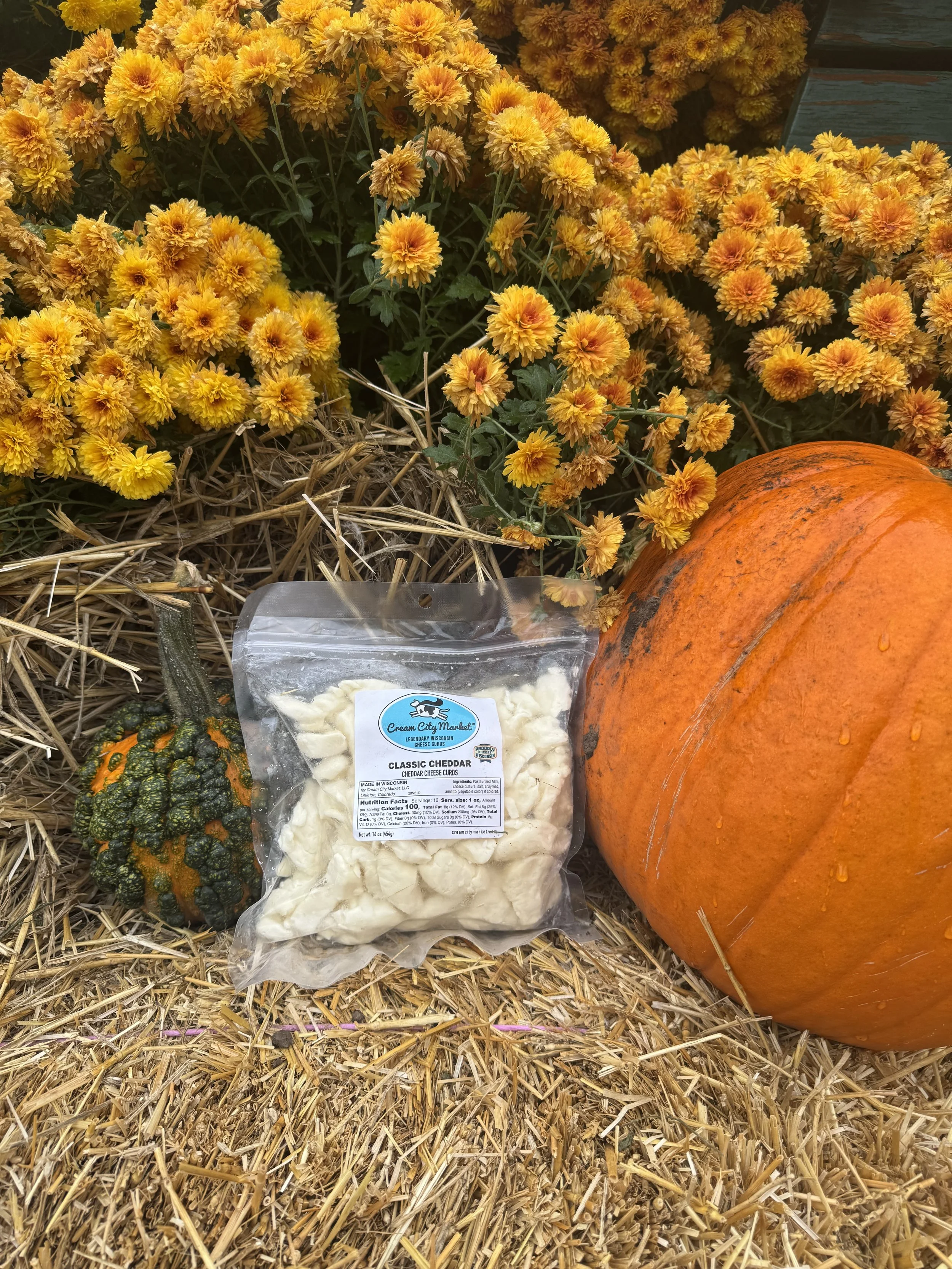 Southlands Mall Fall Festival