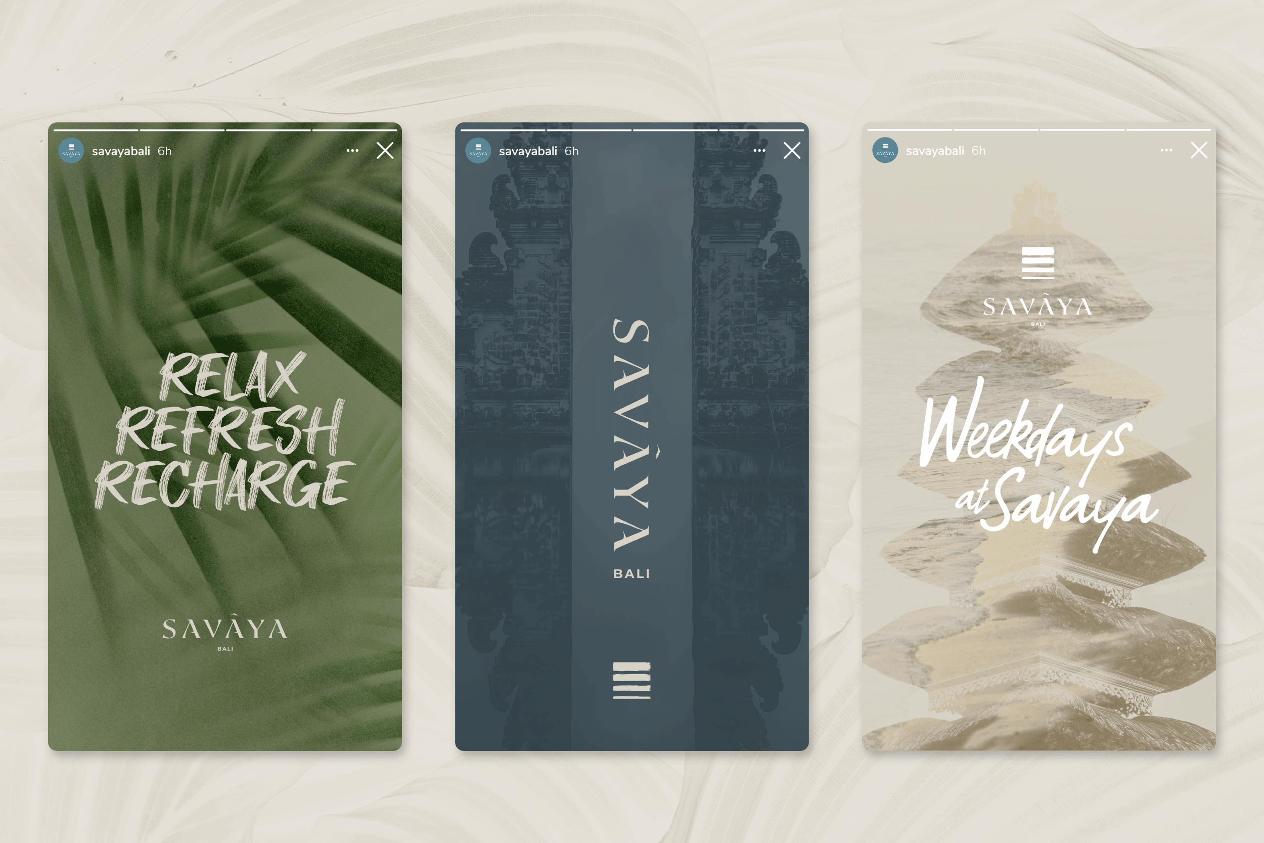 Cover_Web_2500x1667 copy 4.gif