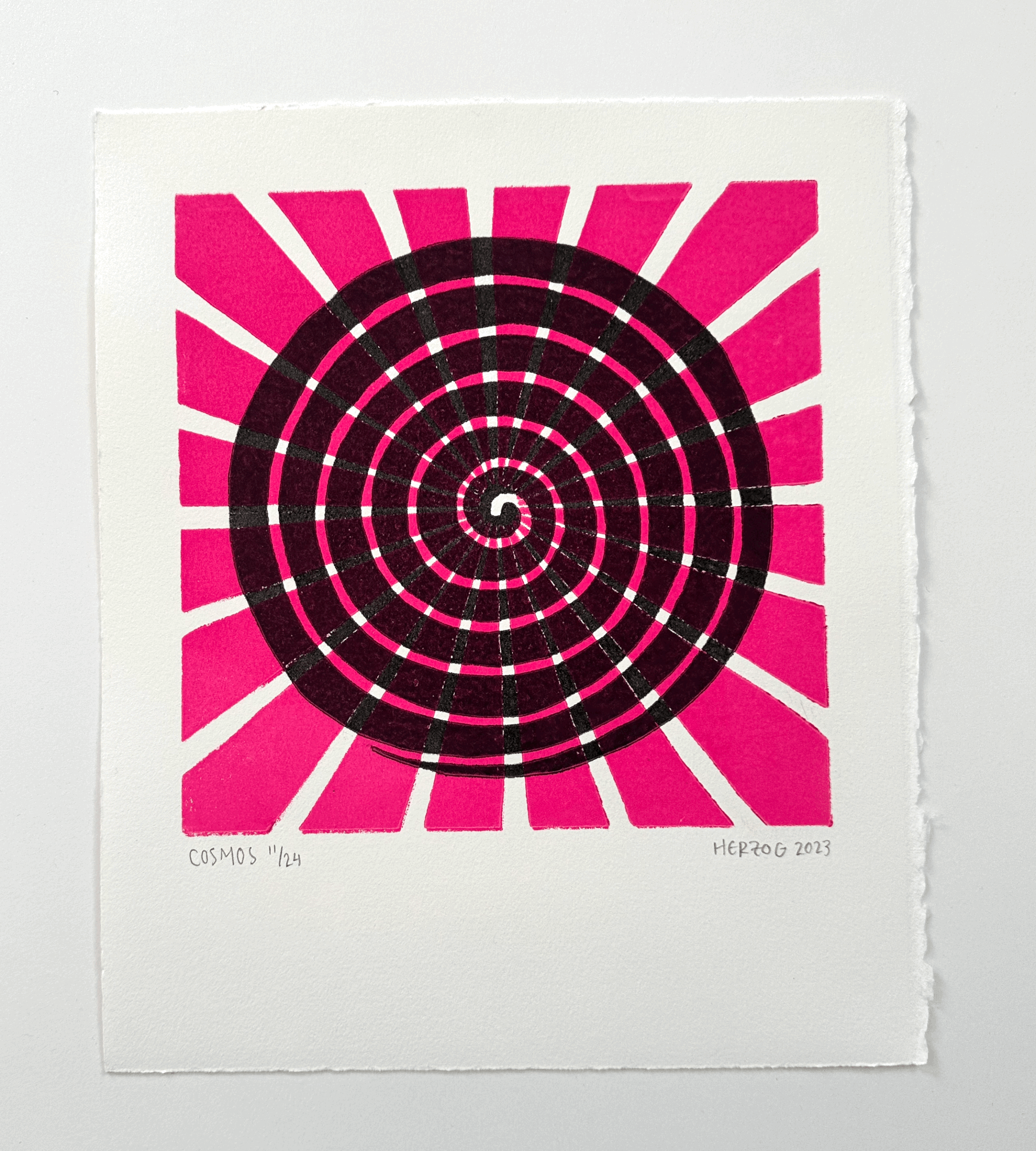 Cosmos