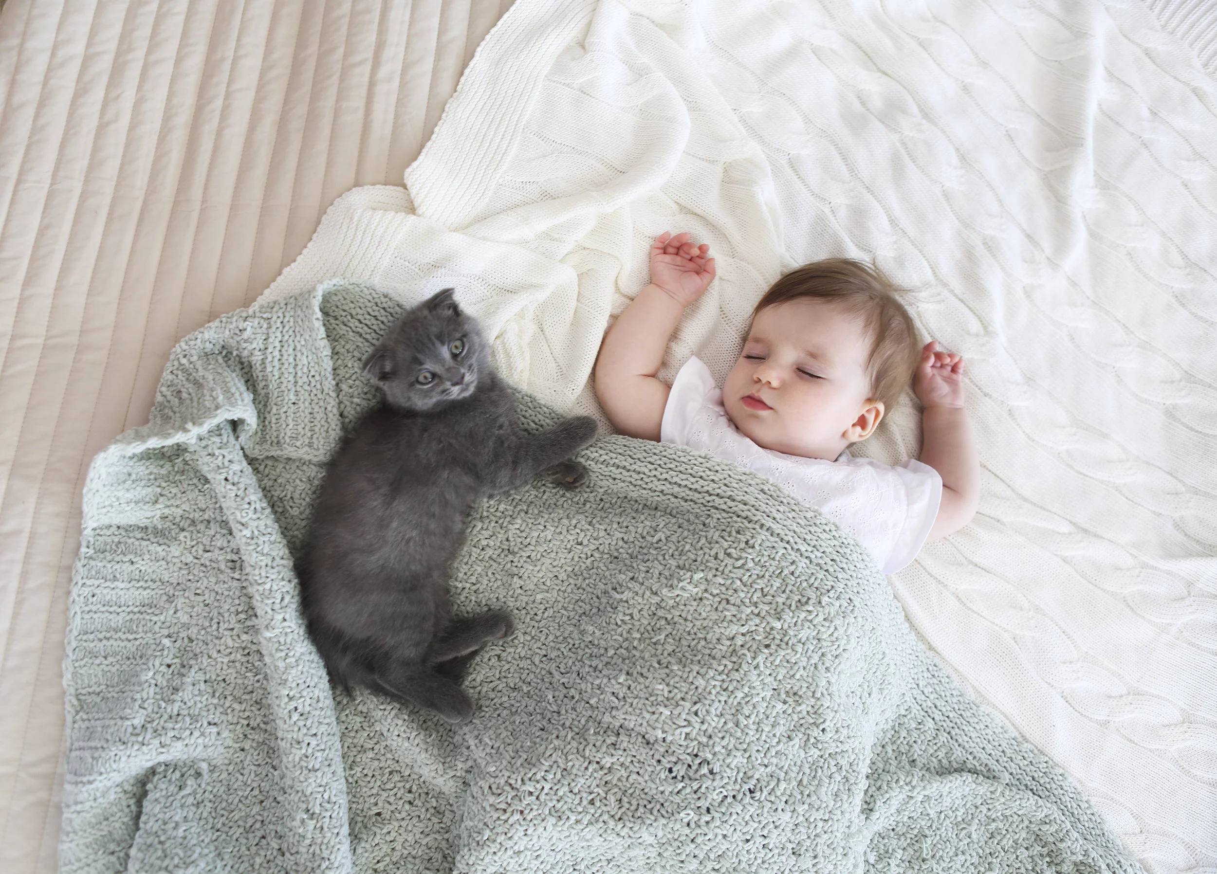 Photo by petrenkod/iStock / Getty Images