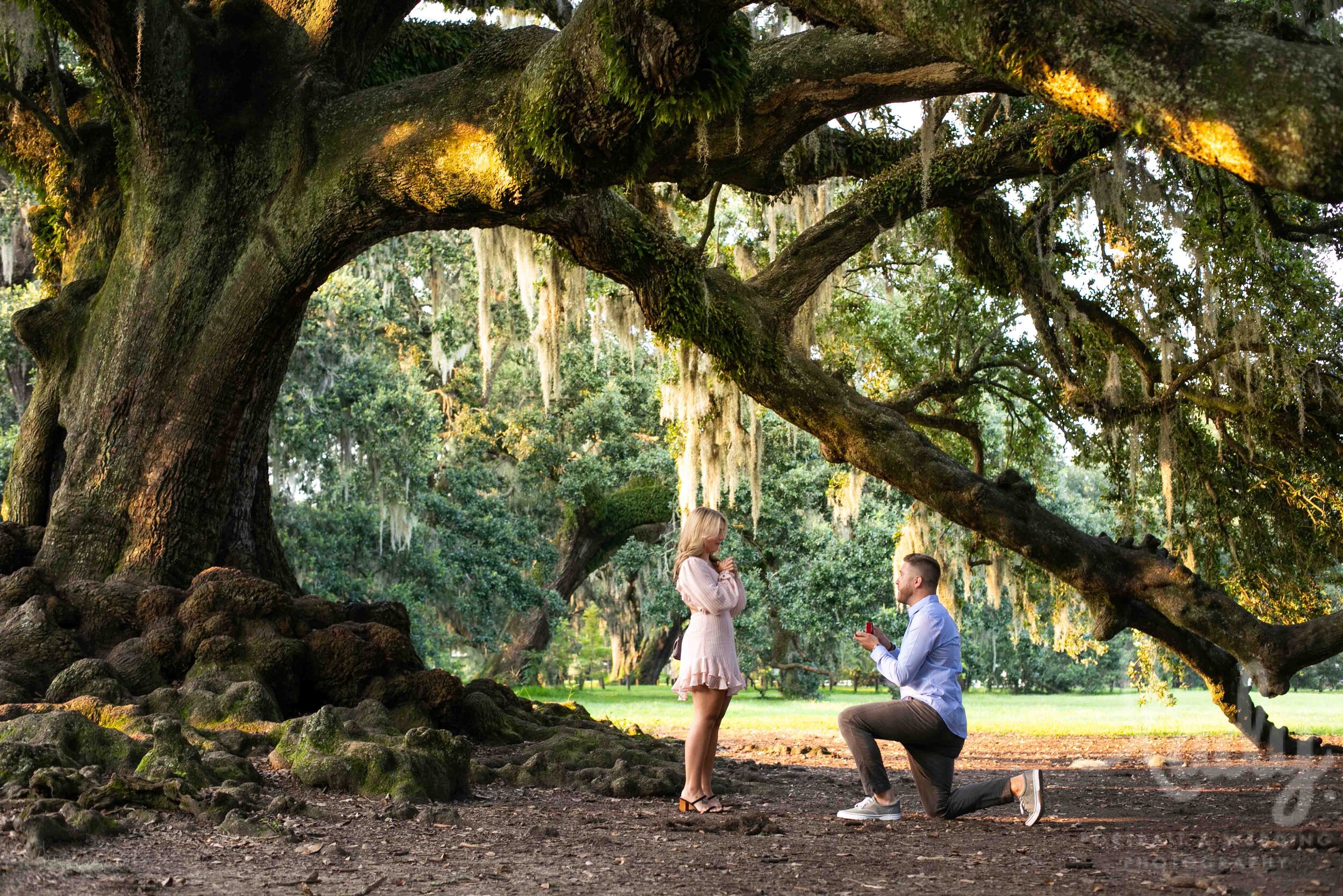 Best Places To Propose In New Orleans