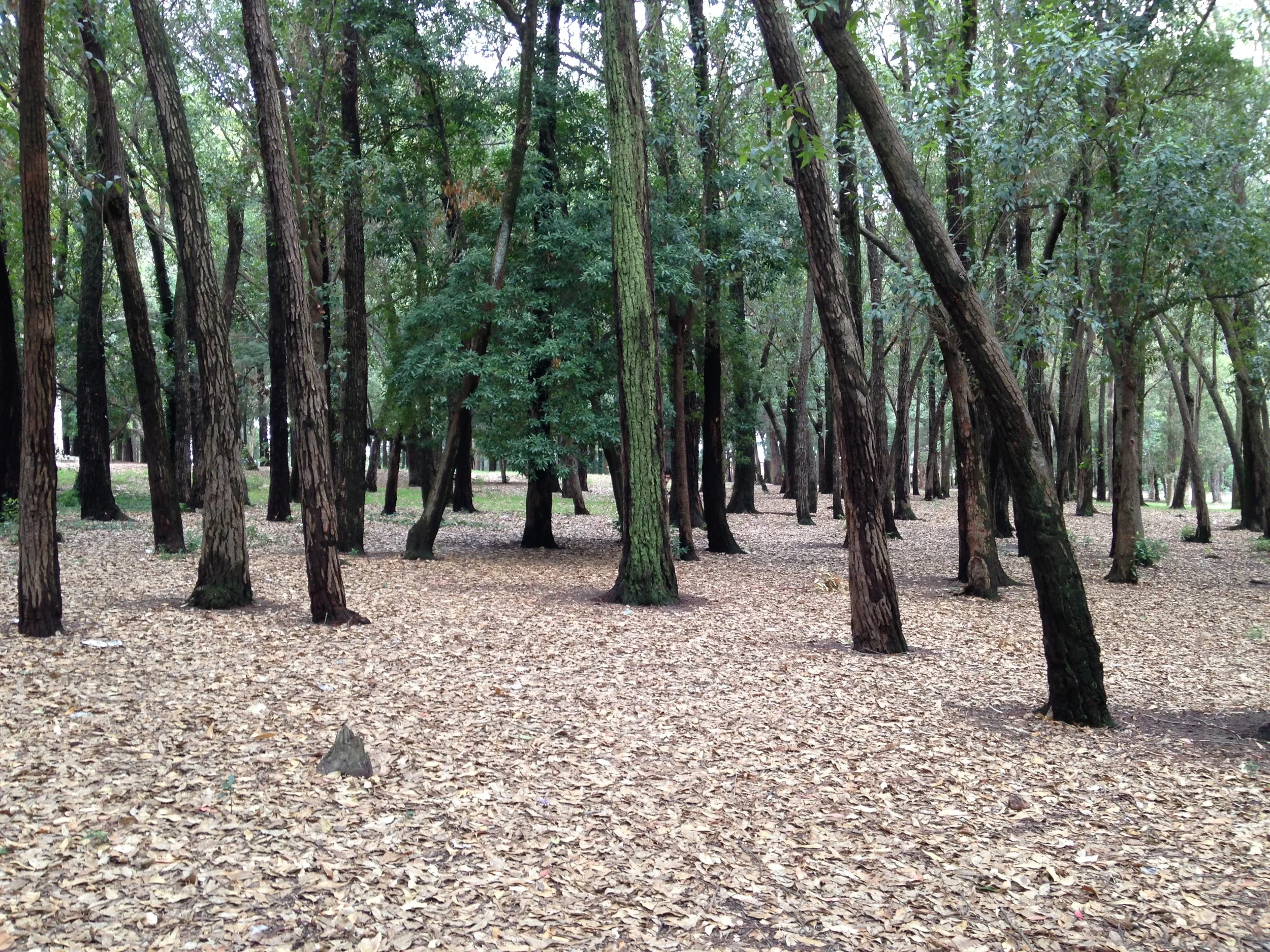Test de evaluación de Stress