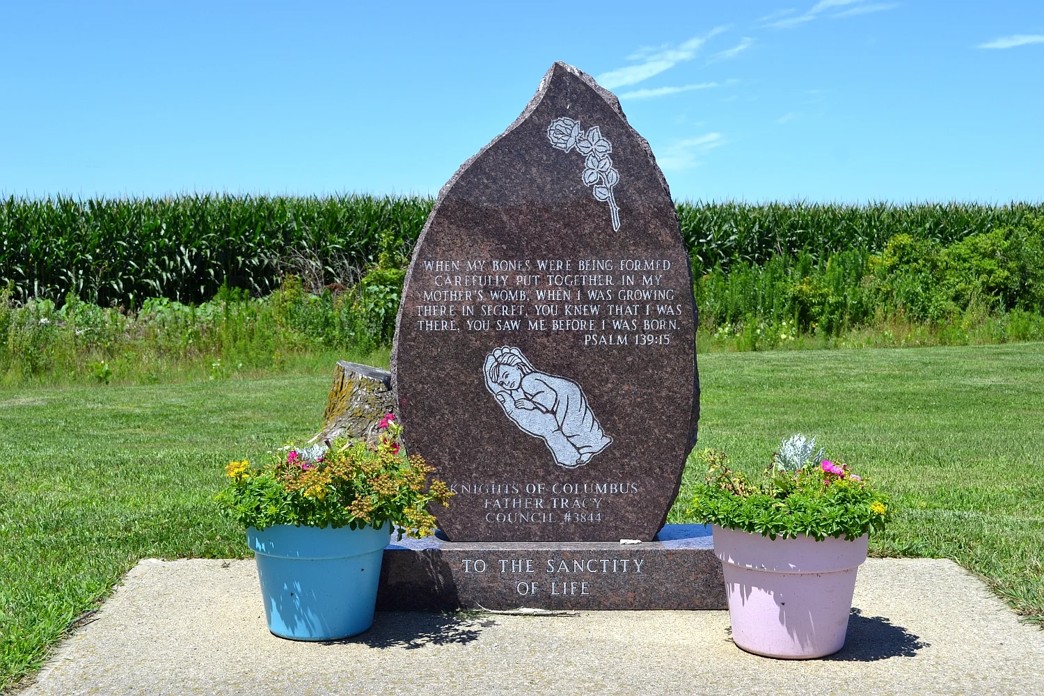 DSC_0029.jpg