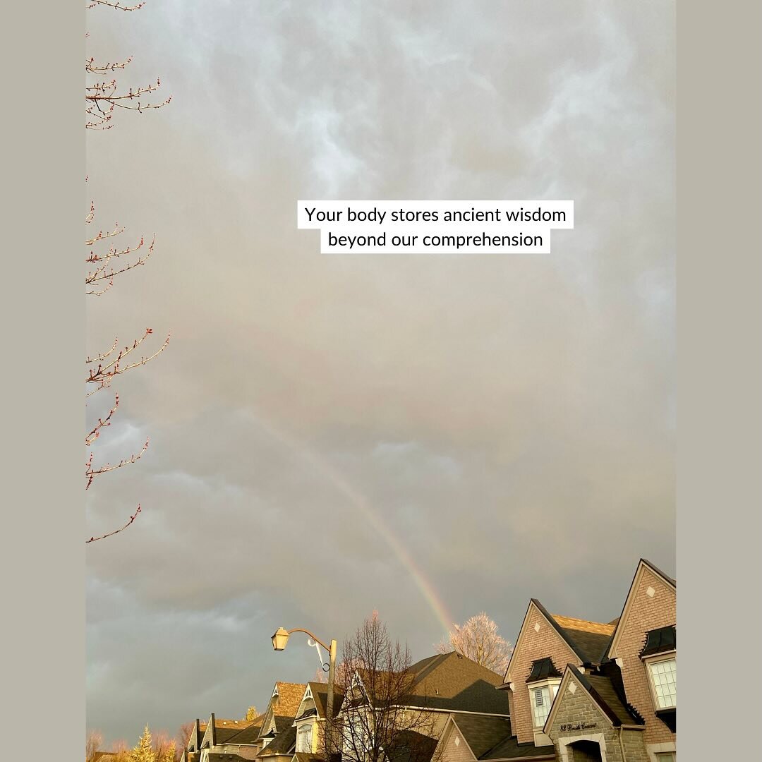 🌈🌩️

#winterstorm #stouffville #breatheyourbiome #ecotherapy #outdoortherapy #ancientwisdom #nervoussystemregulation